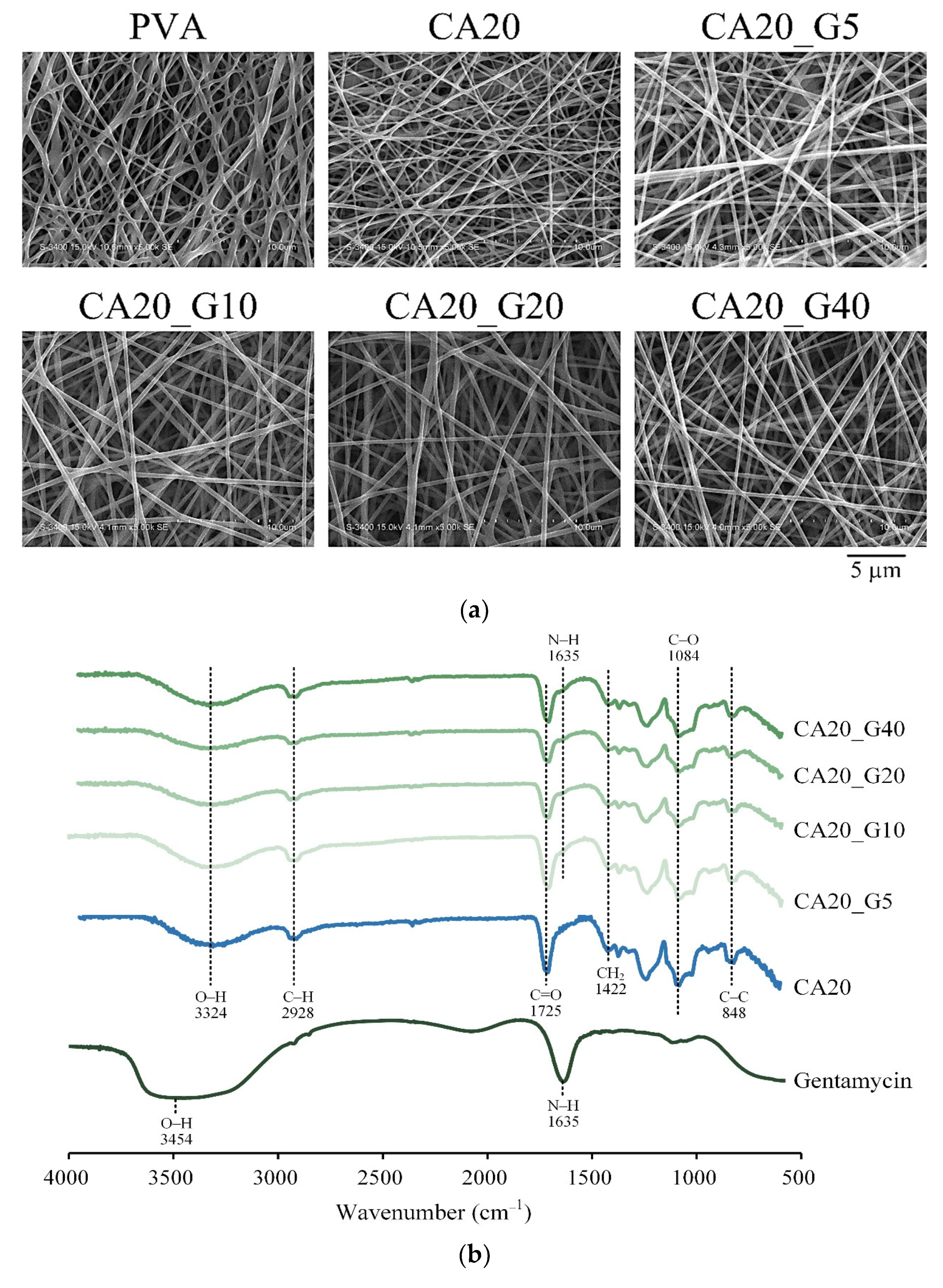Membranes 13 00564 g002 Membranes 13 00564 g002