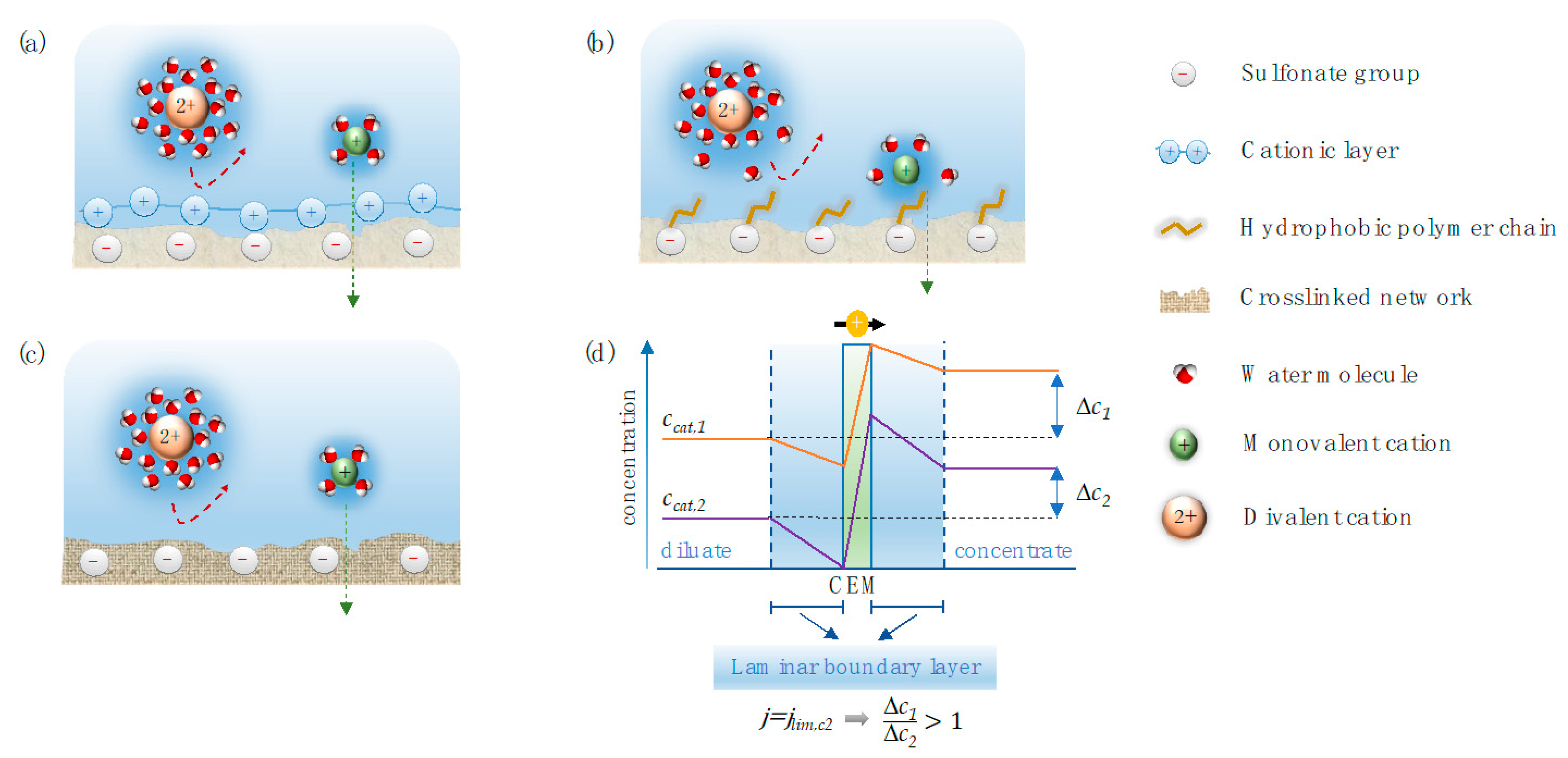 Membranes Free FullText Cation Exchange Membranes and Process