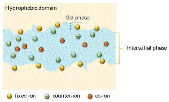 Cation Exchange Membranes and Process Optimizations in