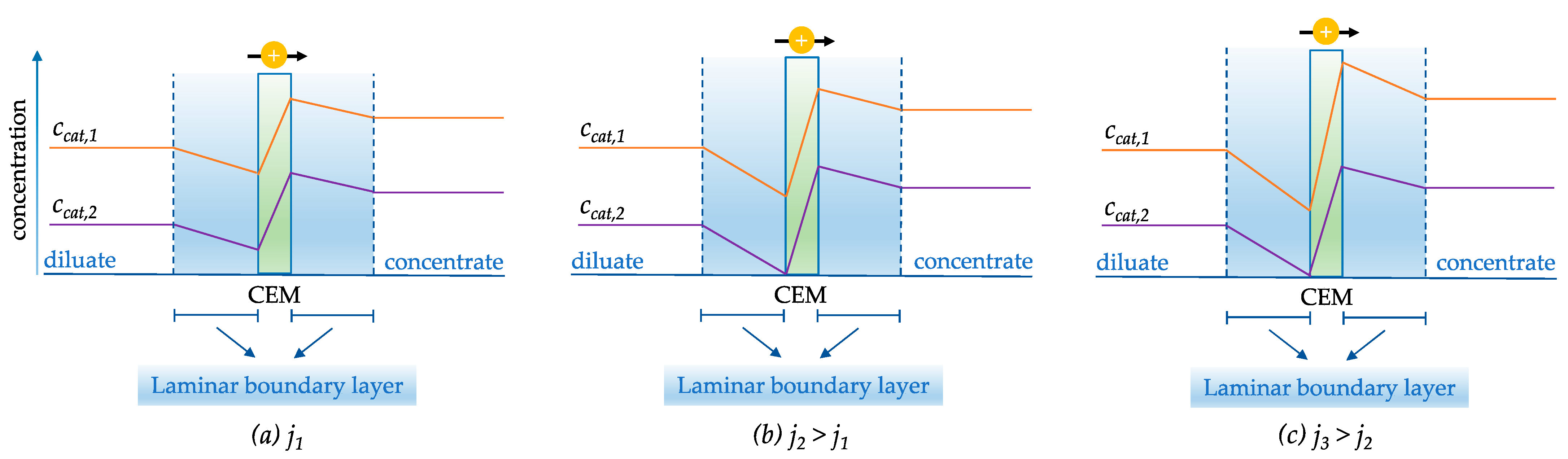 Membranes 13 00566 g008 Membranes 13 00566 g008