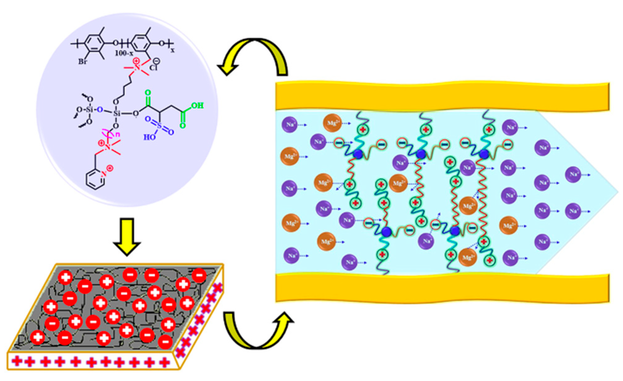 Membranes 13 00566 g016 Membranes 13 00566 g016