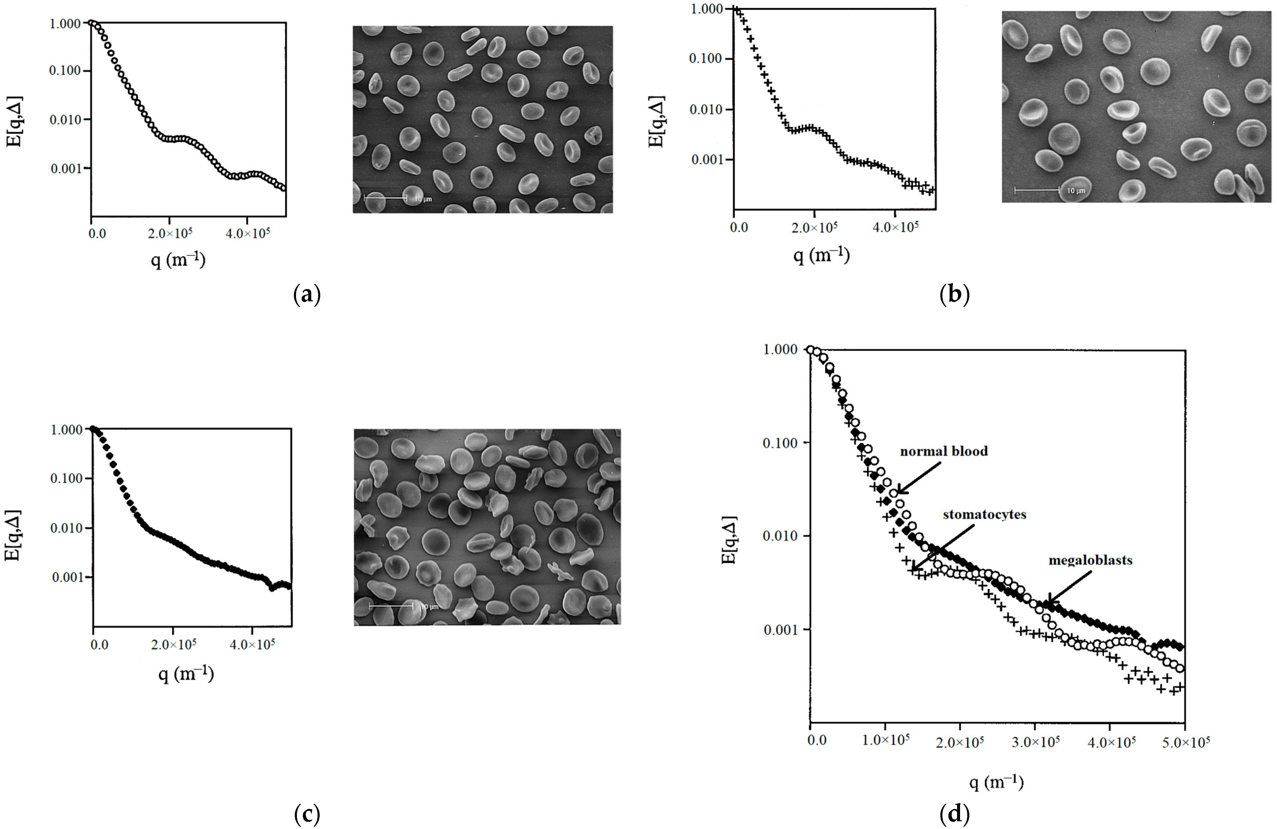 Membranes 13 00567 g008