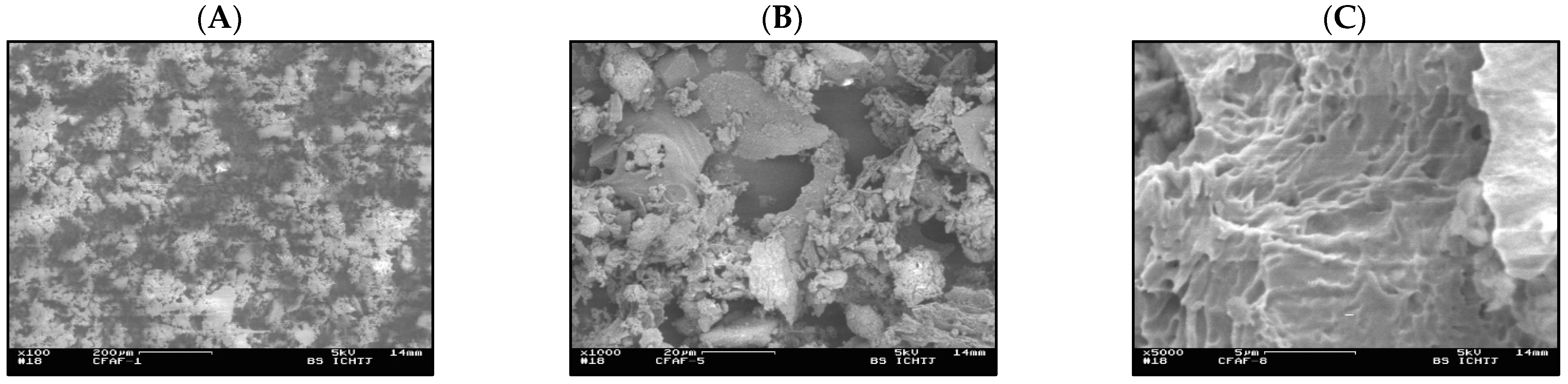Membranes 13 00572 g002