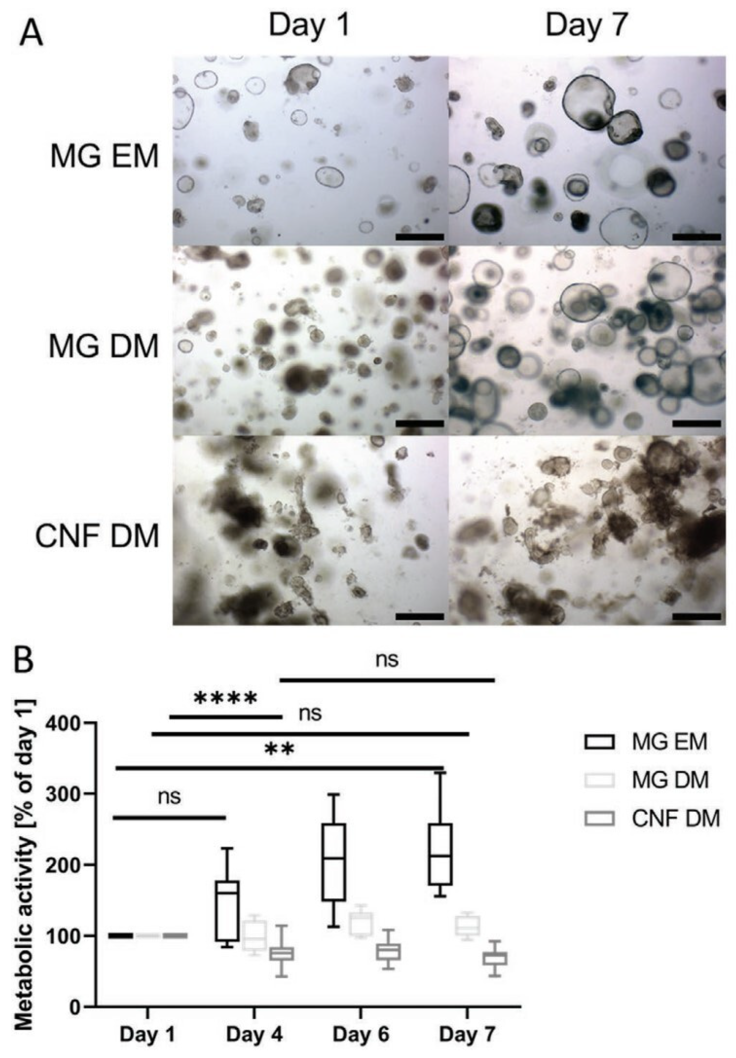 Membranes 13 00576 g002 Membranes 13 00576 g002