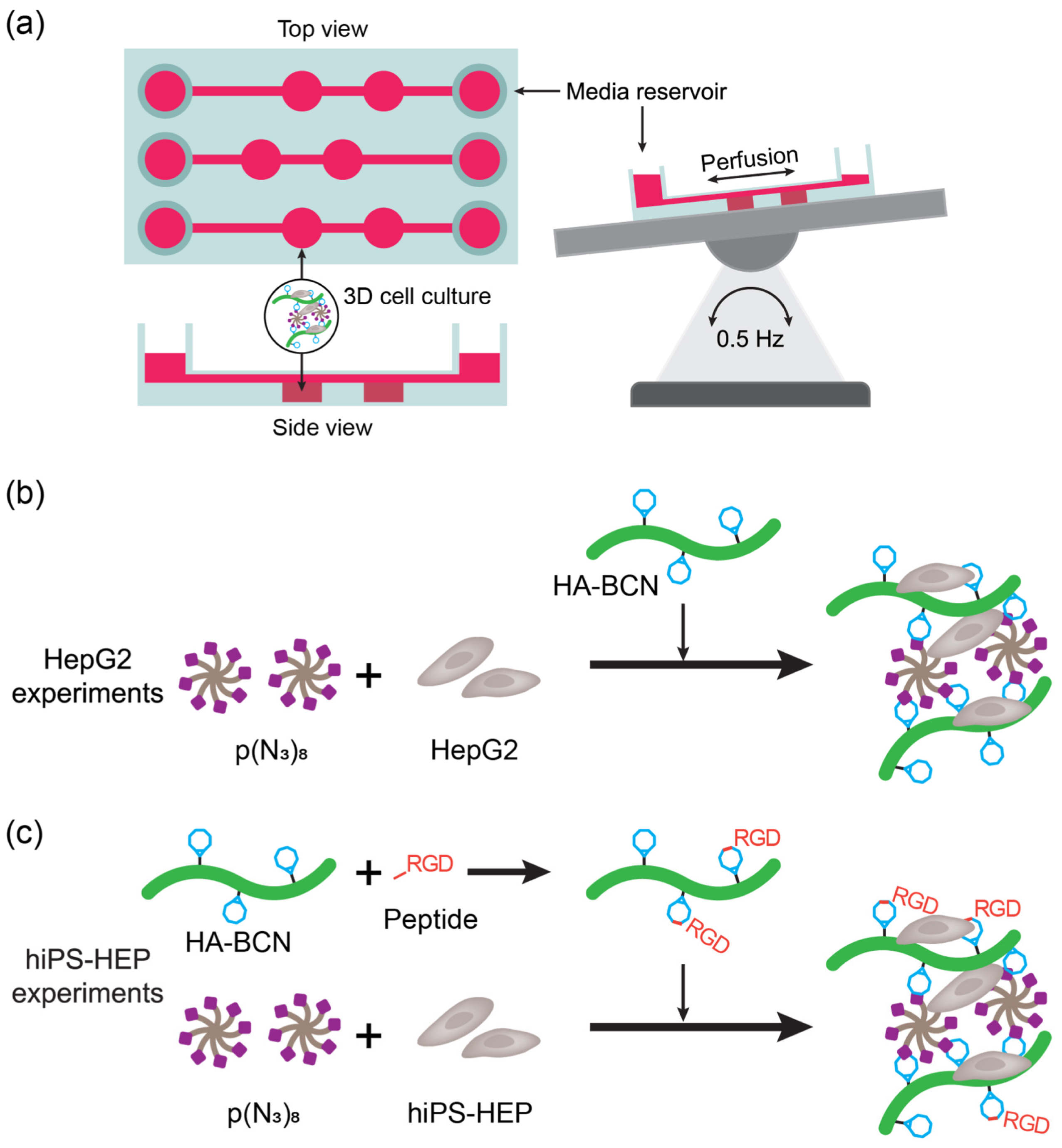 Membranes 13 00576 g003 Membranes 13 00576 g003