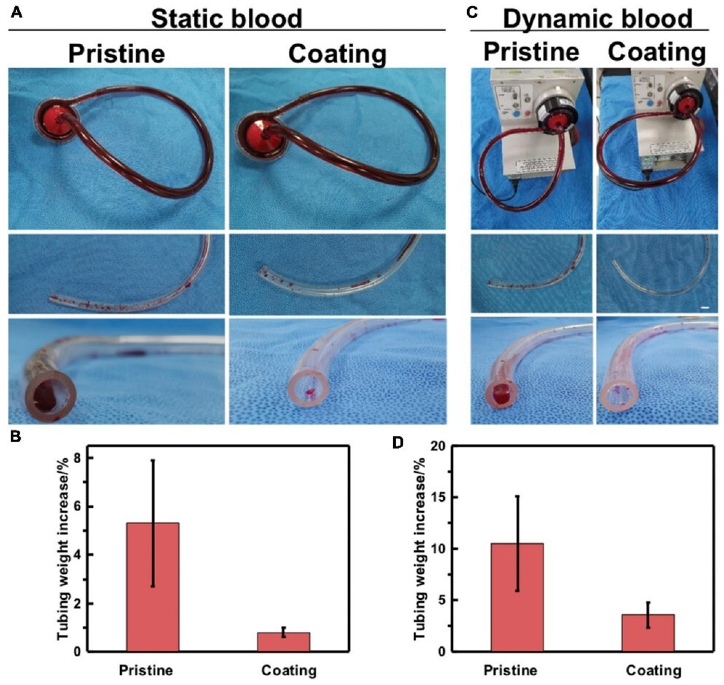 Membranes 13 00576 g006 Membranes 13 00576 g006