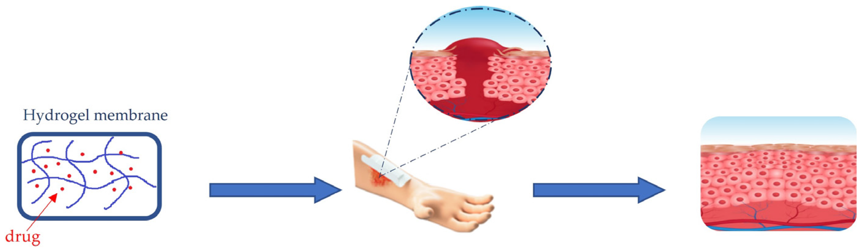 Membranes 13 00576 g007 Membranes 13 00576 g007