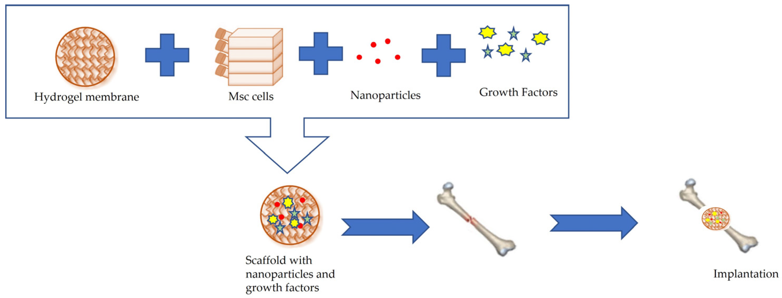 Membranes 13 00576 g008 Membranes 13 00576 g008
