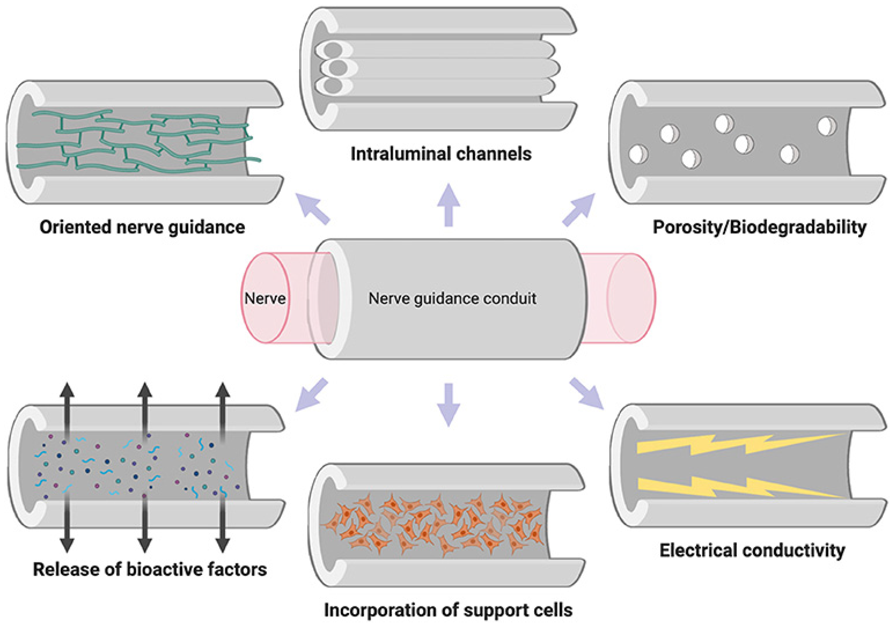 Membranes 13 00576 g009 Membranes 13 00576 g009