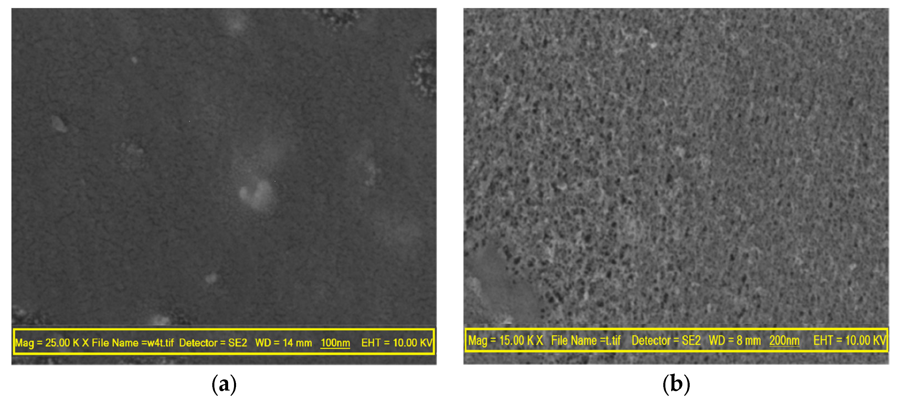 Membranes 13 00577 g005a Membranes 13 00577 g005a