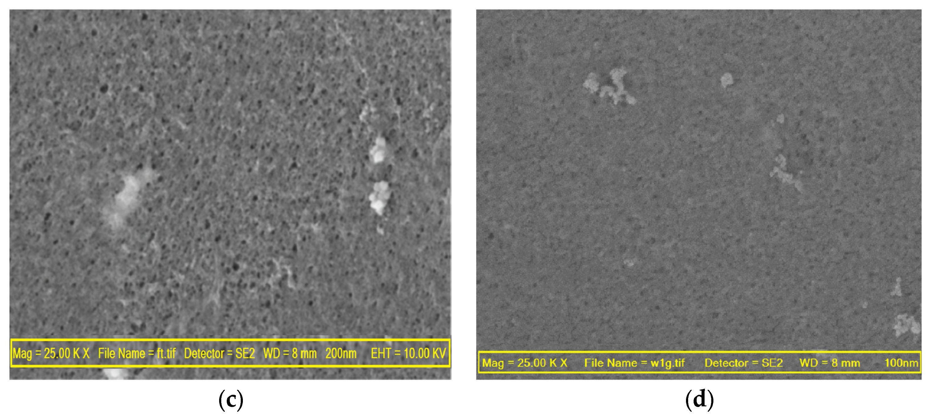 Membranes 13 00577 g005b Membranes 13 00577 g005b