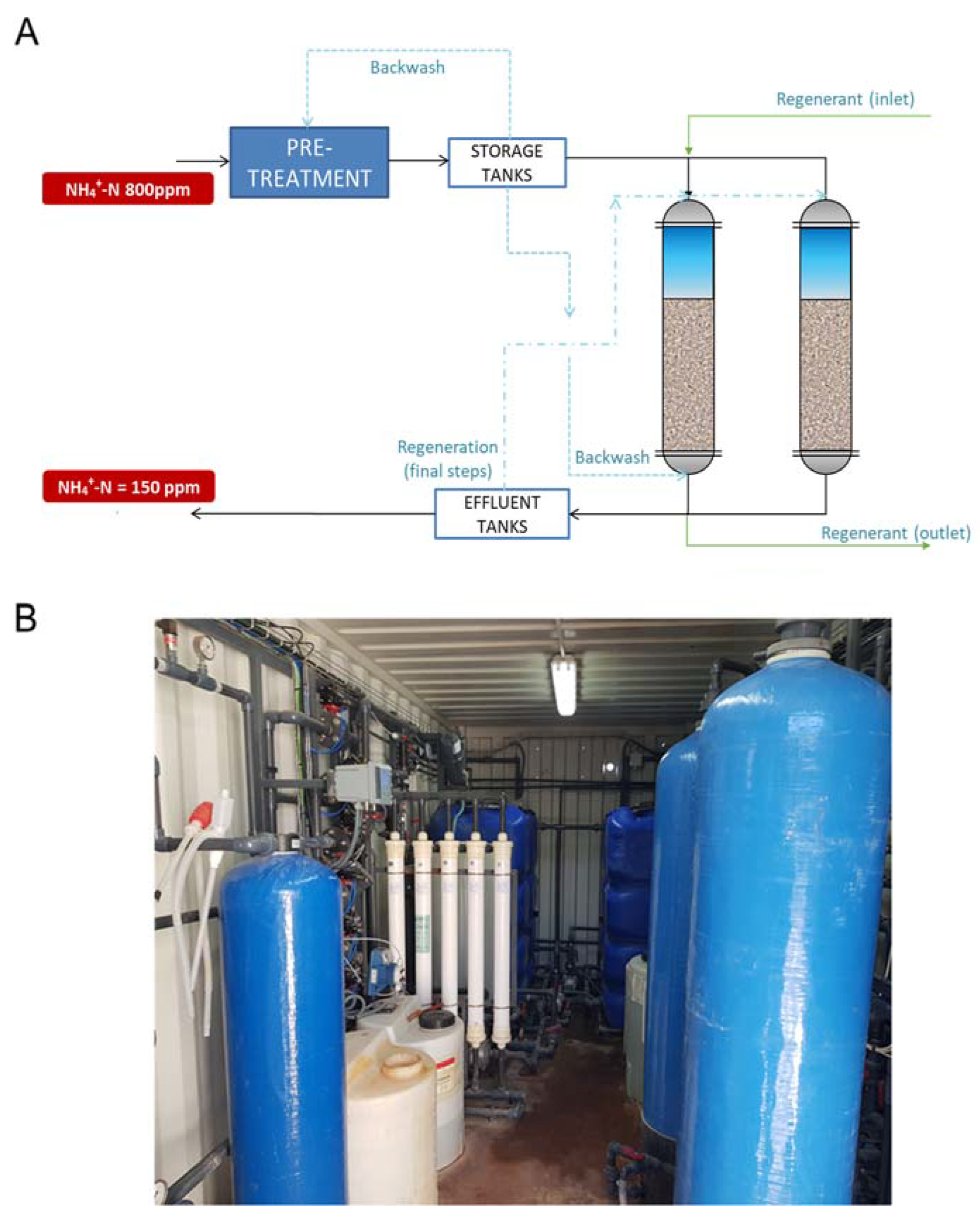 Membranes 13 00580 g001