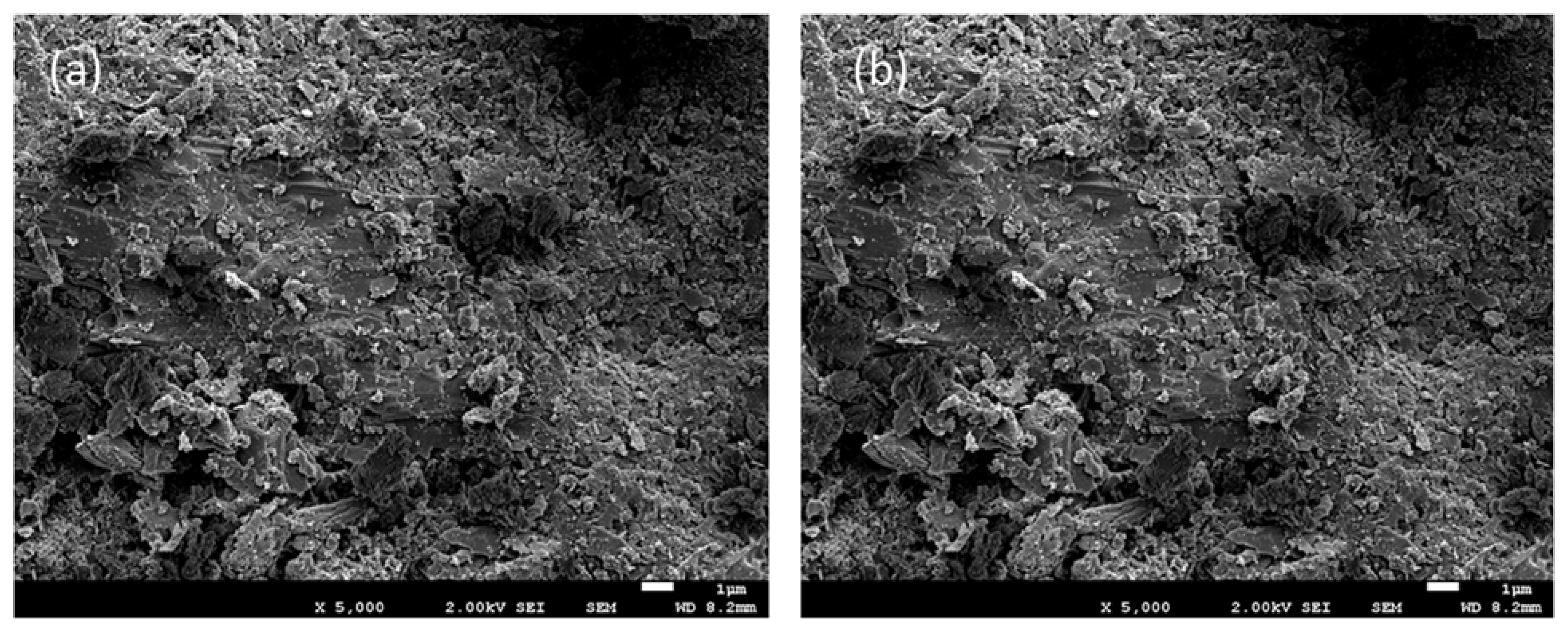 Membranes 13 00580 g005a