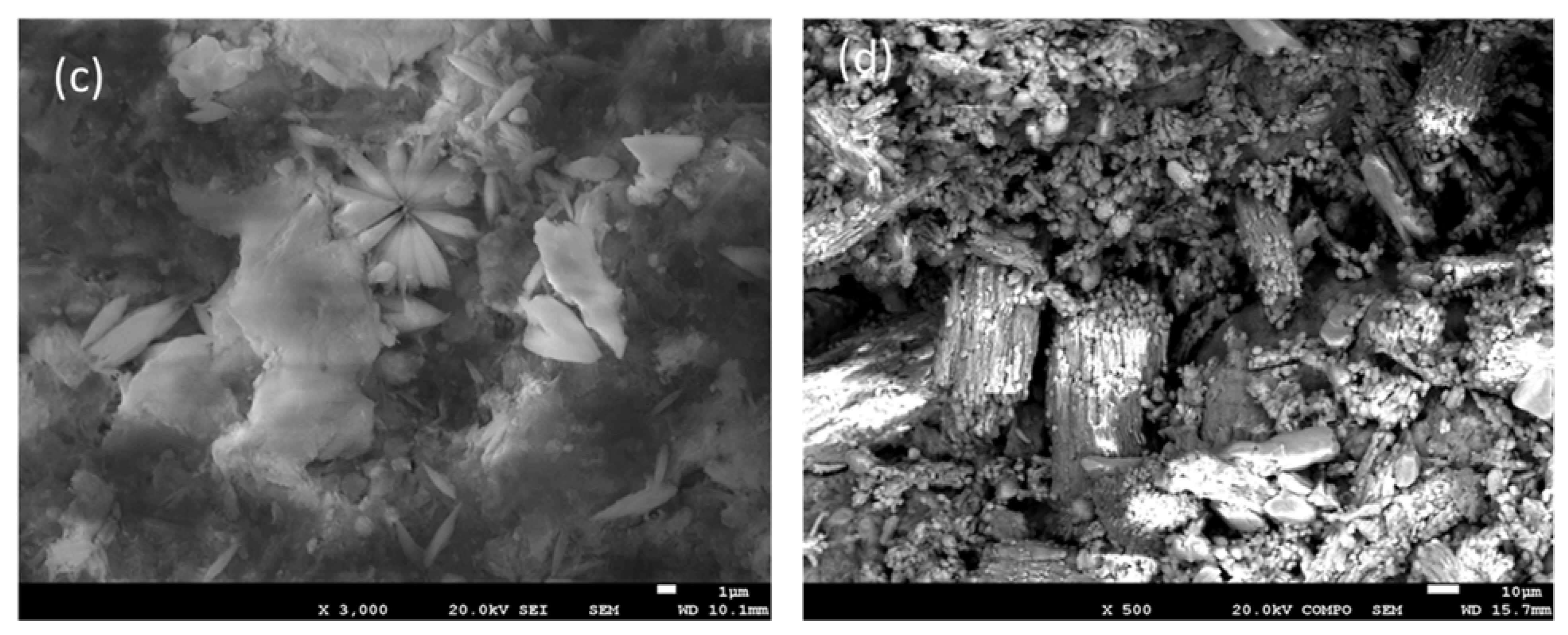 Membranes 13 00580 g005b
