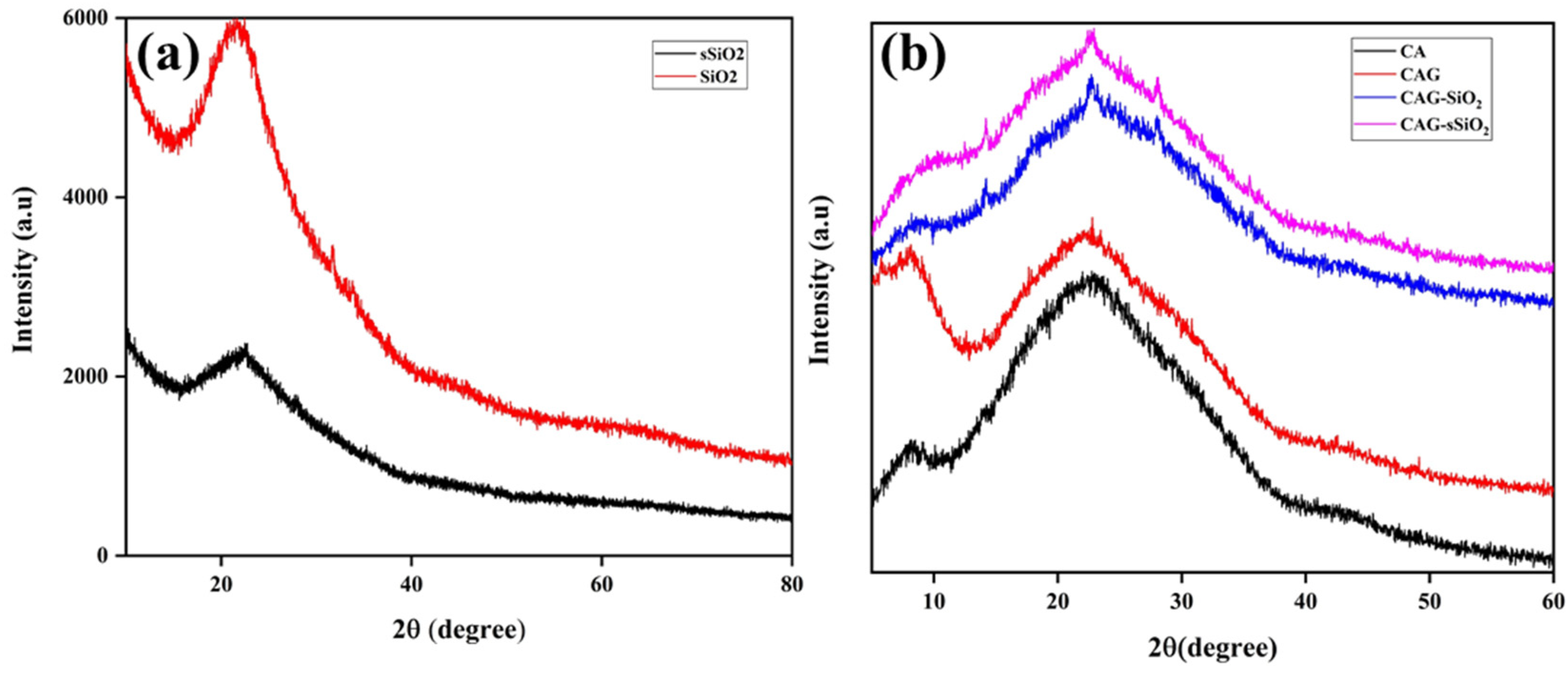 Membranes 13 00581 g004