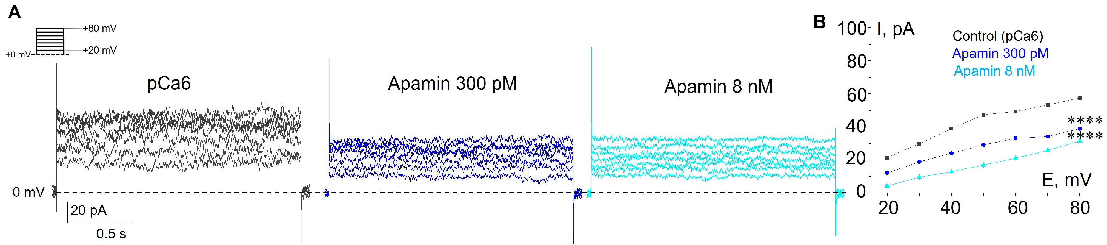 Membranes 13 00583 g002 Membranes 13 00583 g002