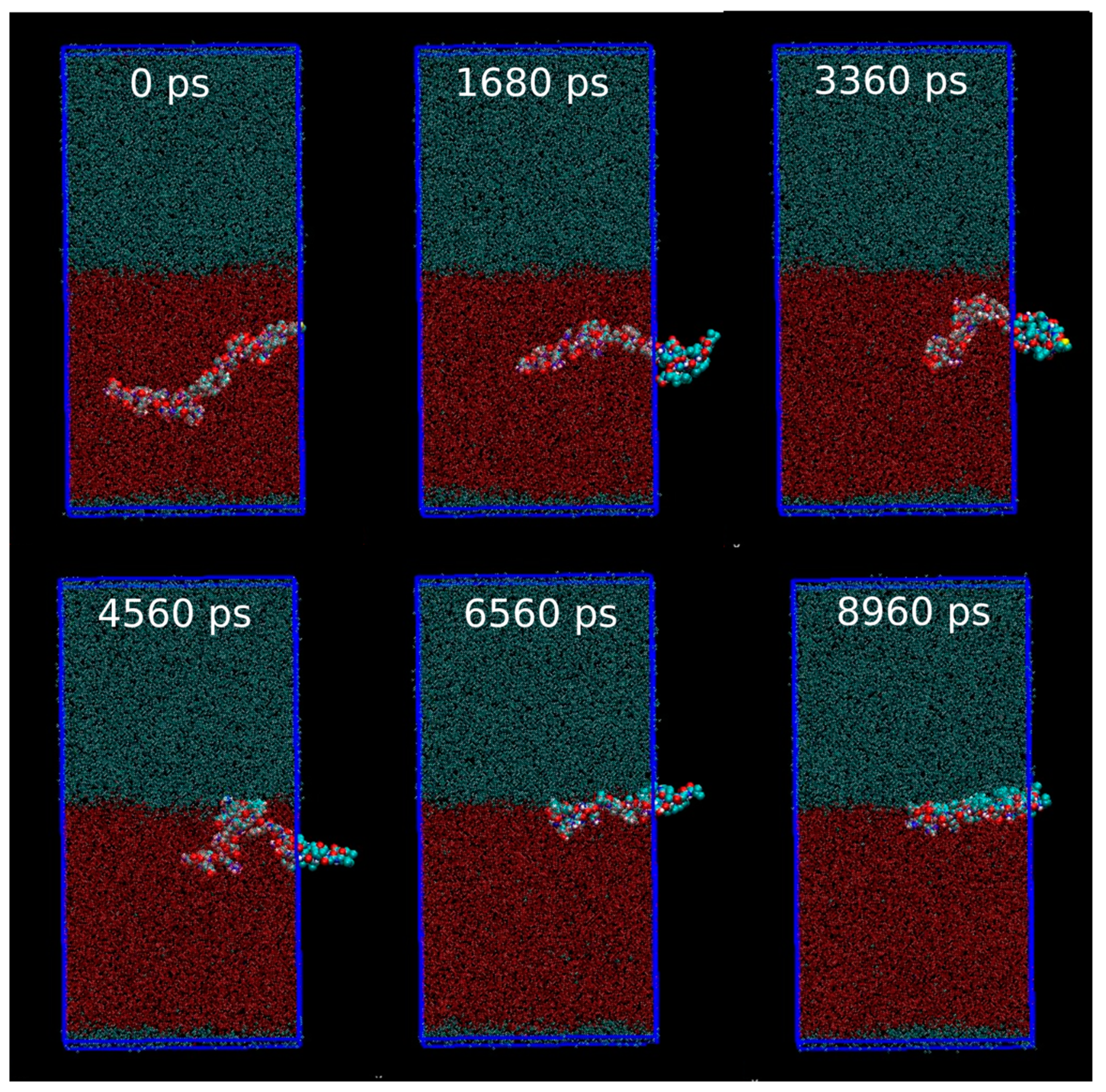 Membranes 13 00584 g002 Membranes 13 00584 g002