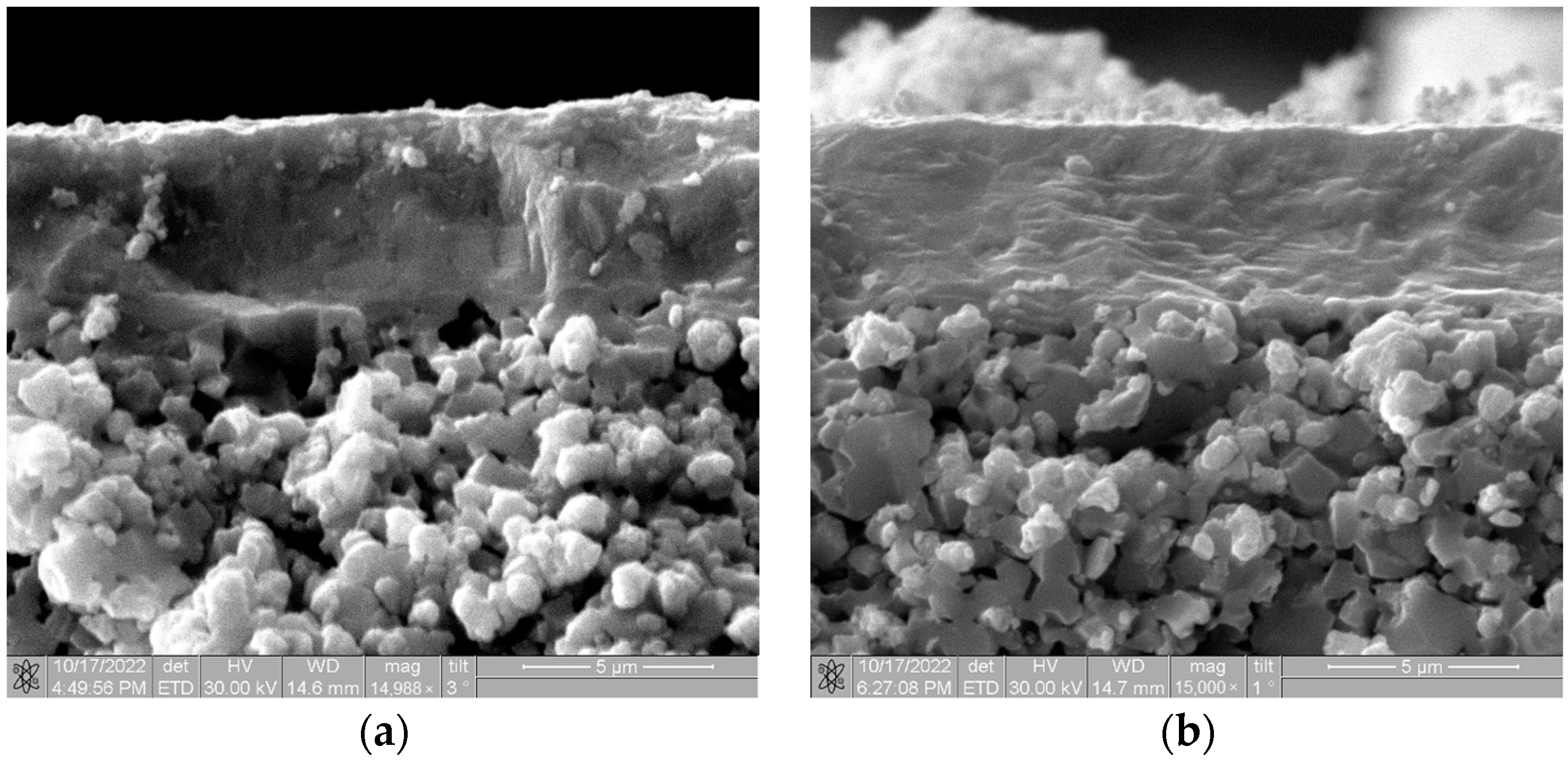Membranes 13 00585 g002 Membranes 13 00585 g002