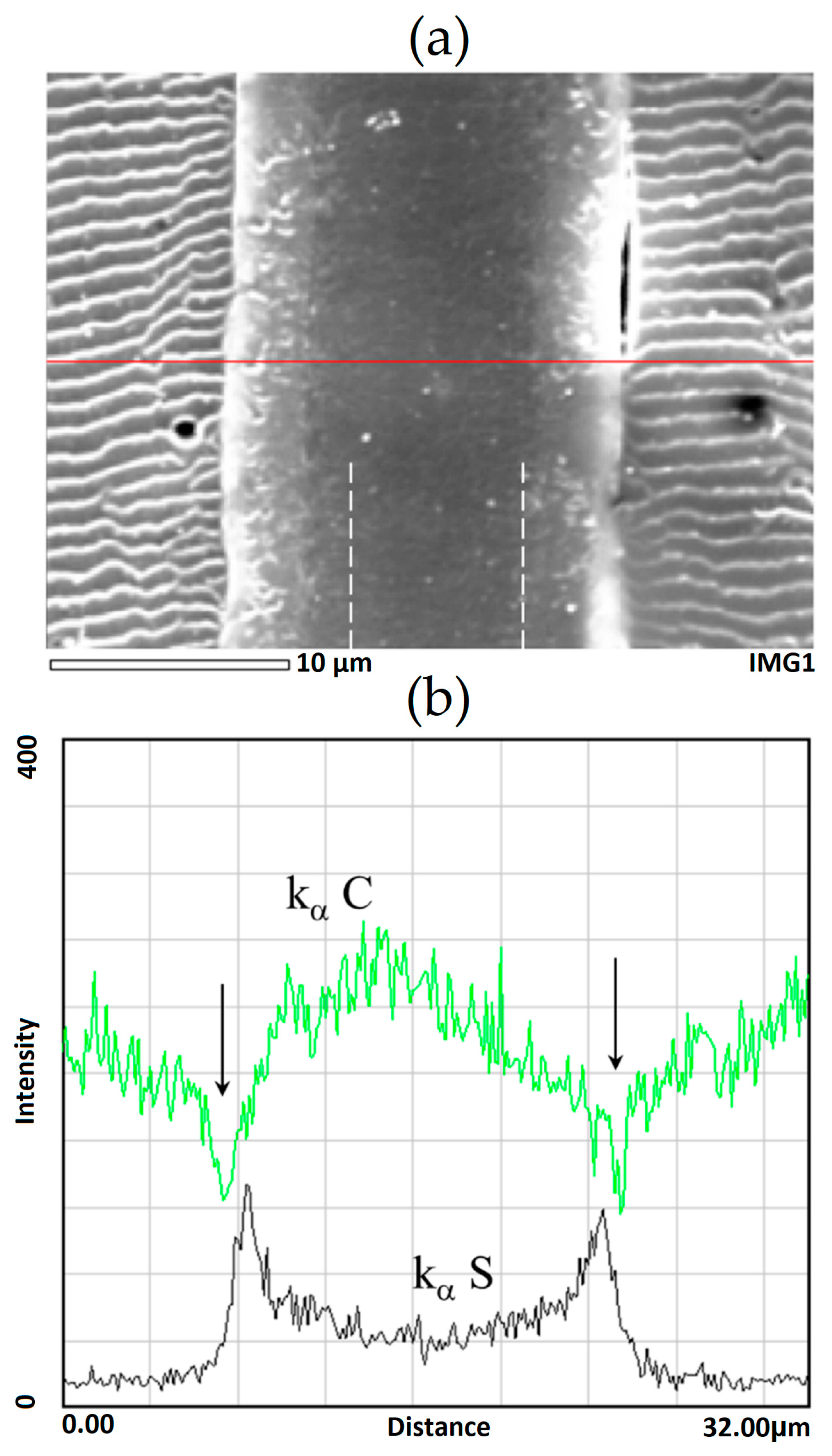 Membranes 13 00587 g004