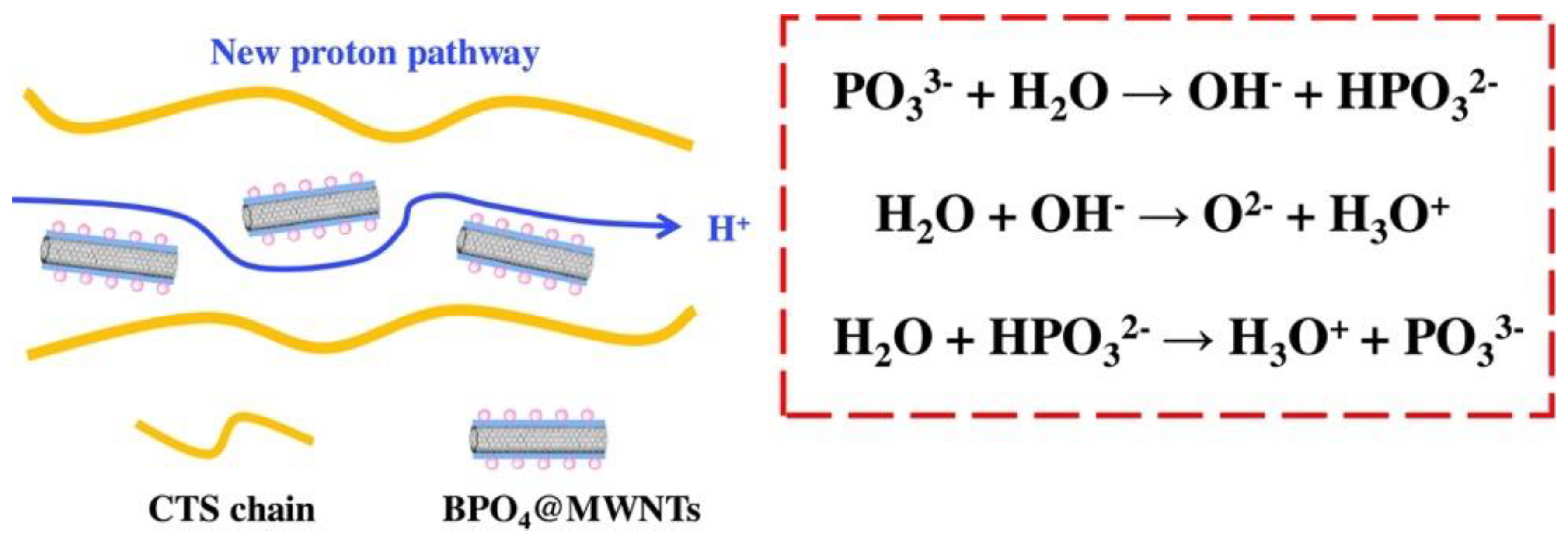 Membranes 13 00590 g005