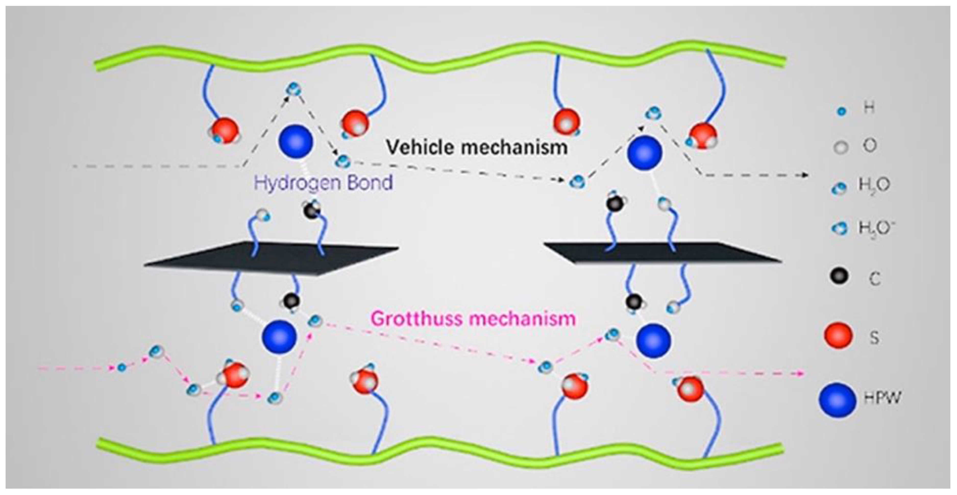 Membranes 13 00590 g008