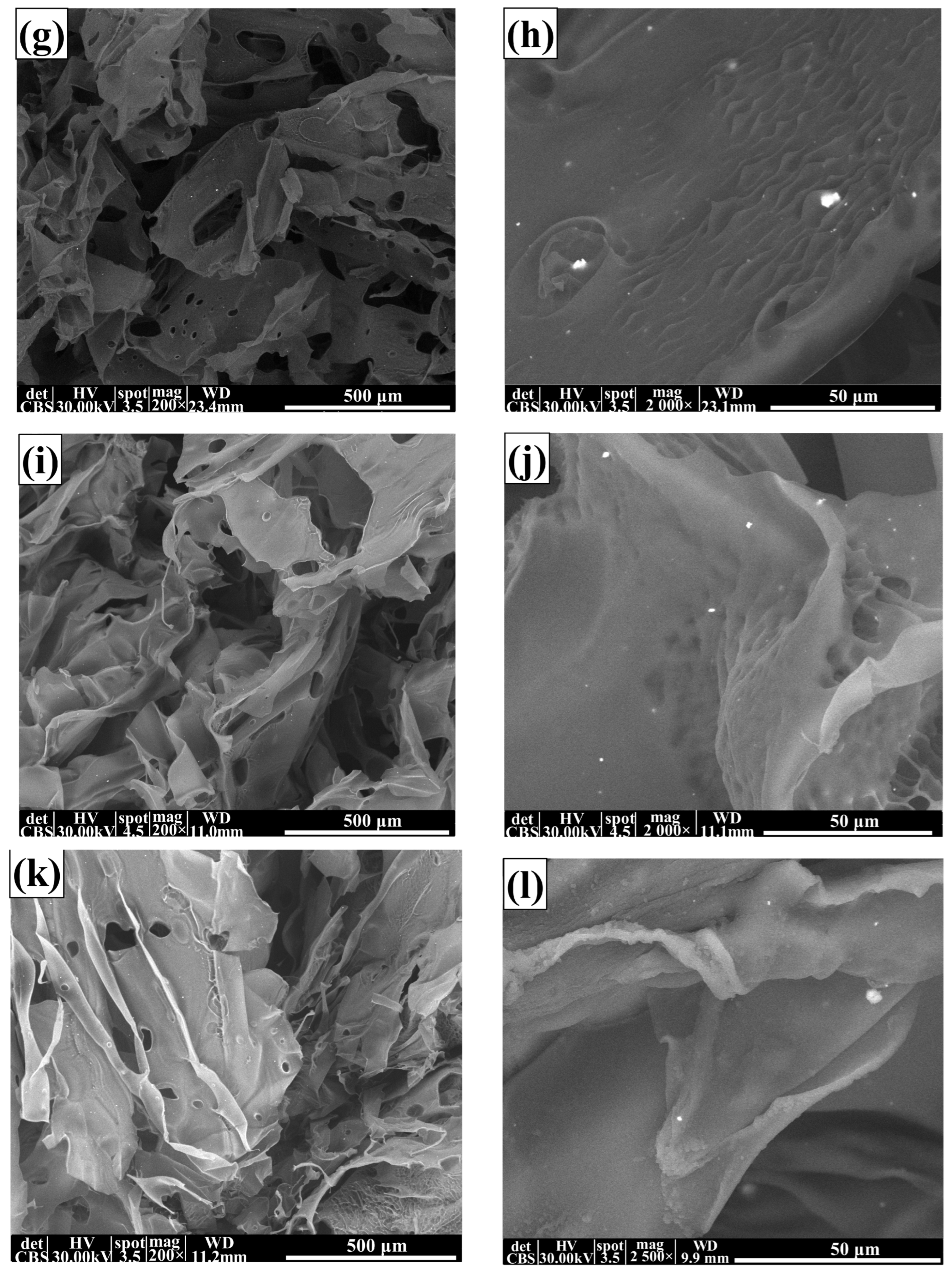 Membranes 13 00591 g004b