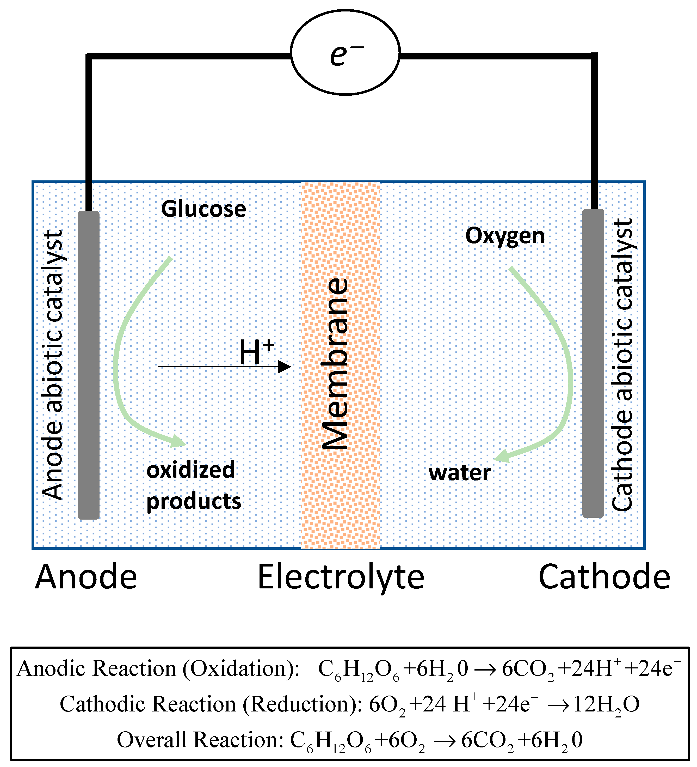 Membranes 13 00592 g001 Membranes 13 00592 g001