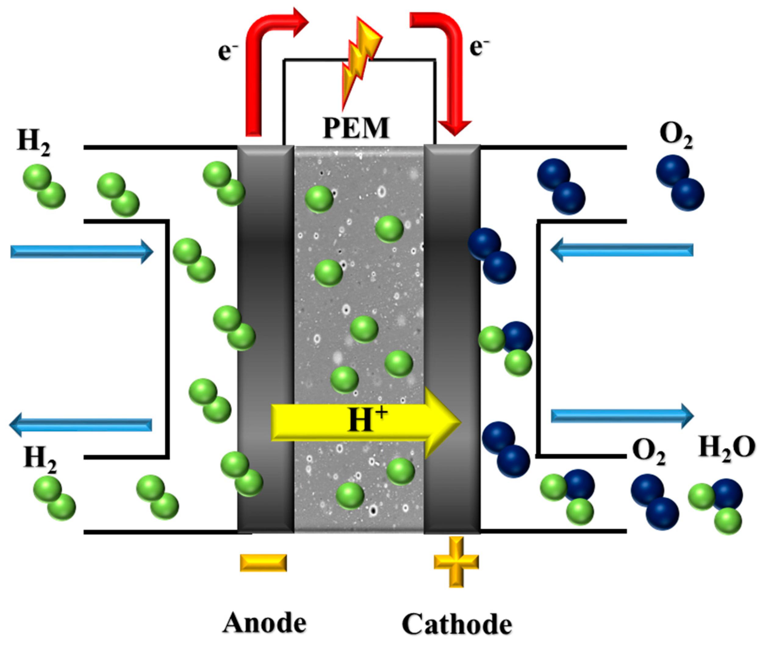 Membranes 13 00593 g001 Membranes 13 00593 g001