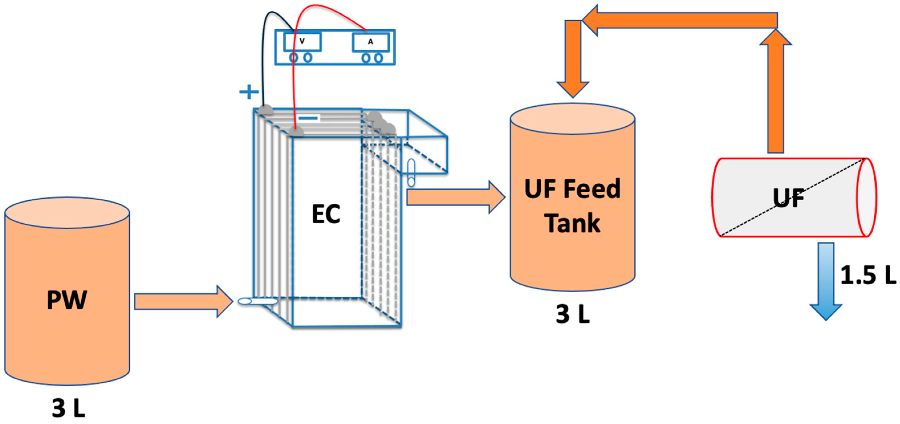 Membranes 13 00597 g002
