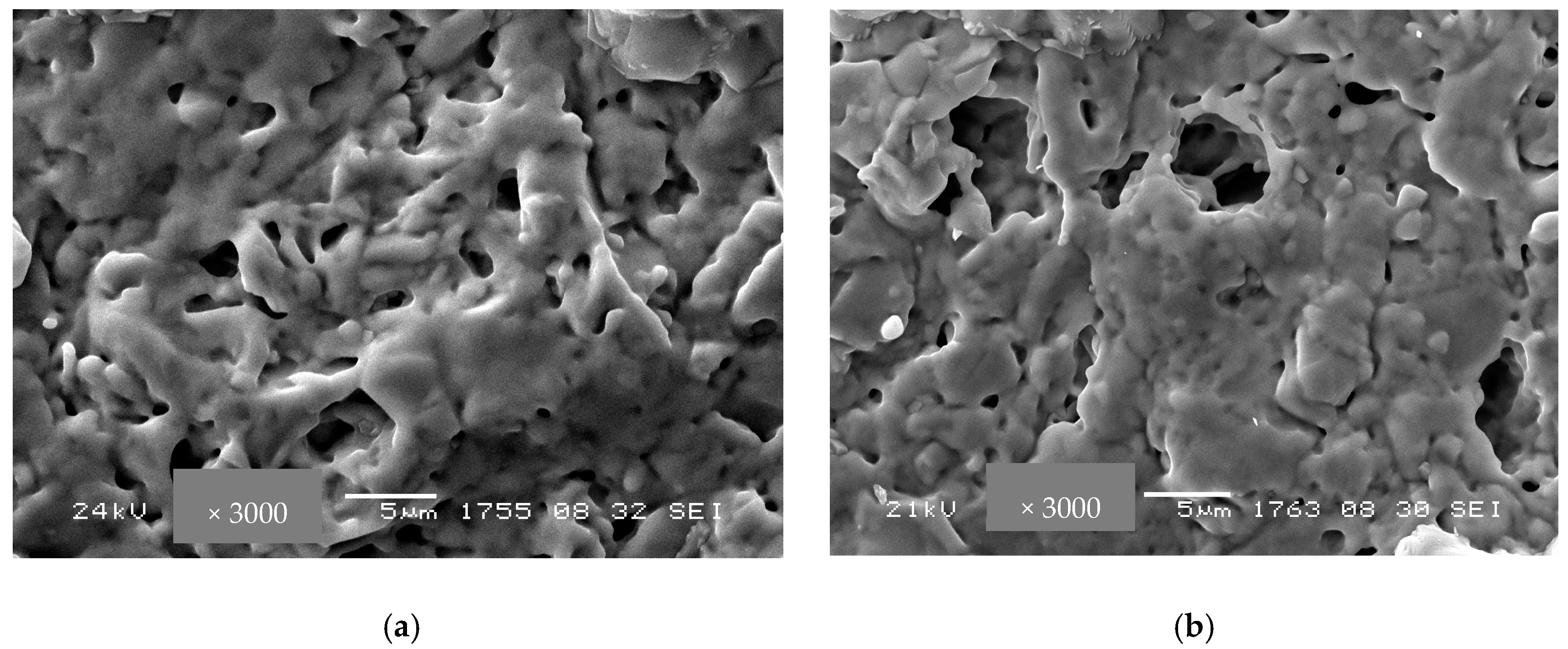 Membranes 13 00598 g005 Membranes 13 00598 g005