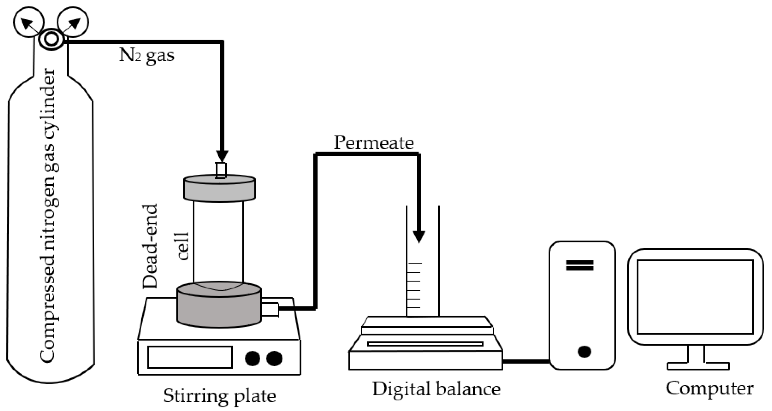 Membranes 13 00602 g001