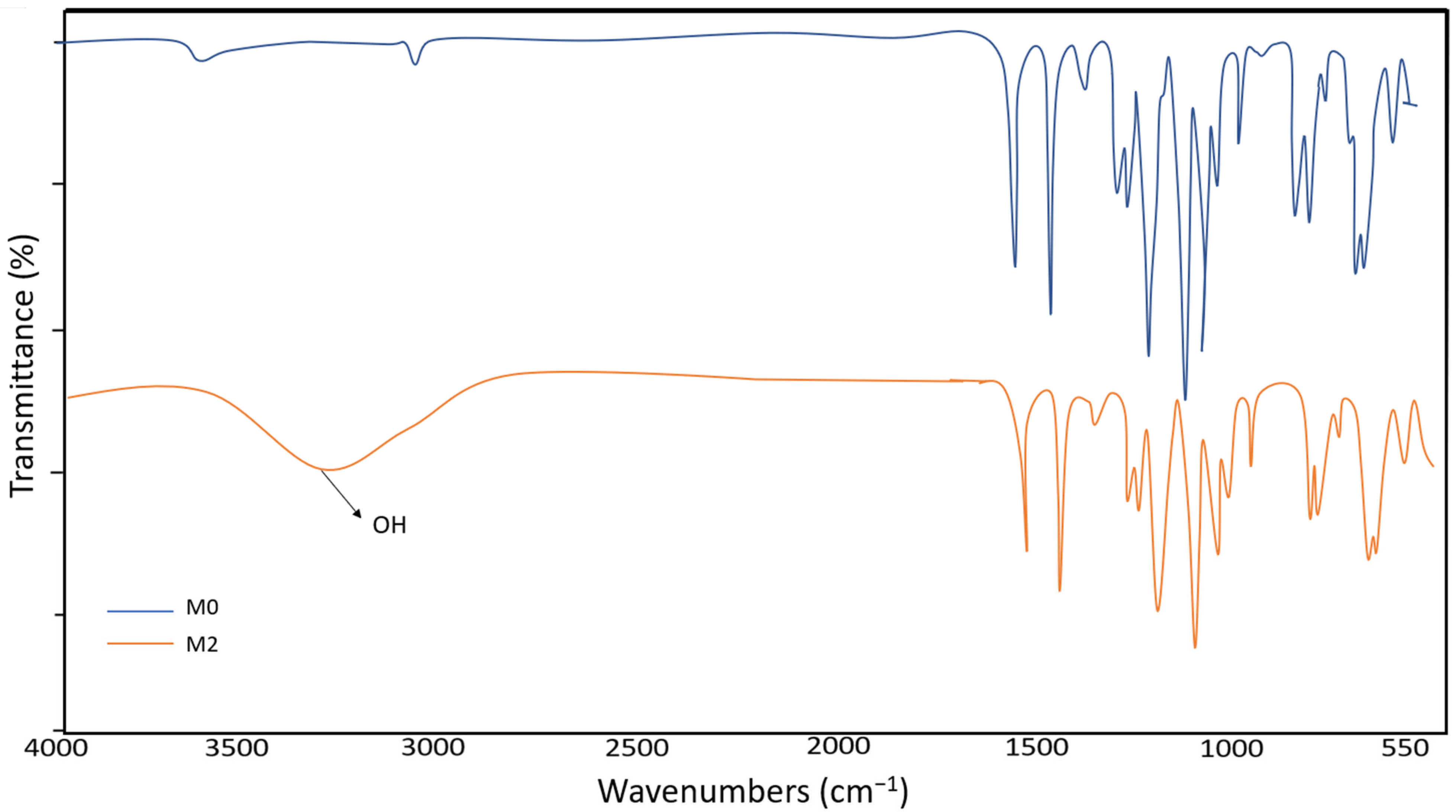 Membranes 13 00602 g002