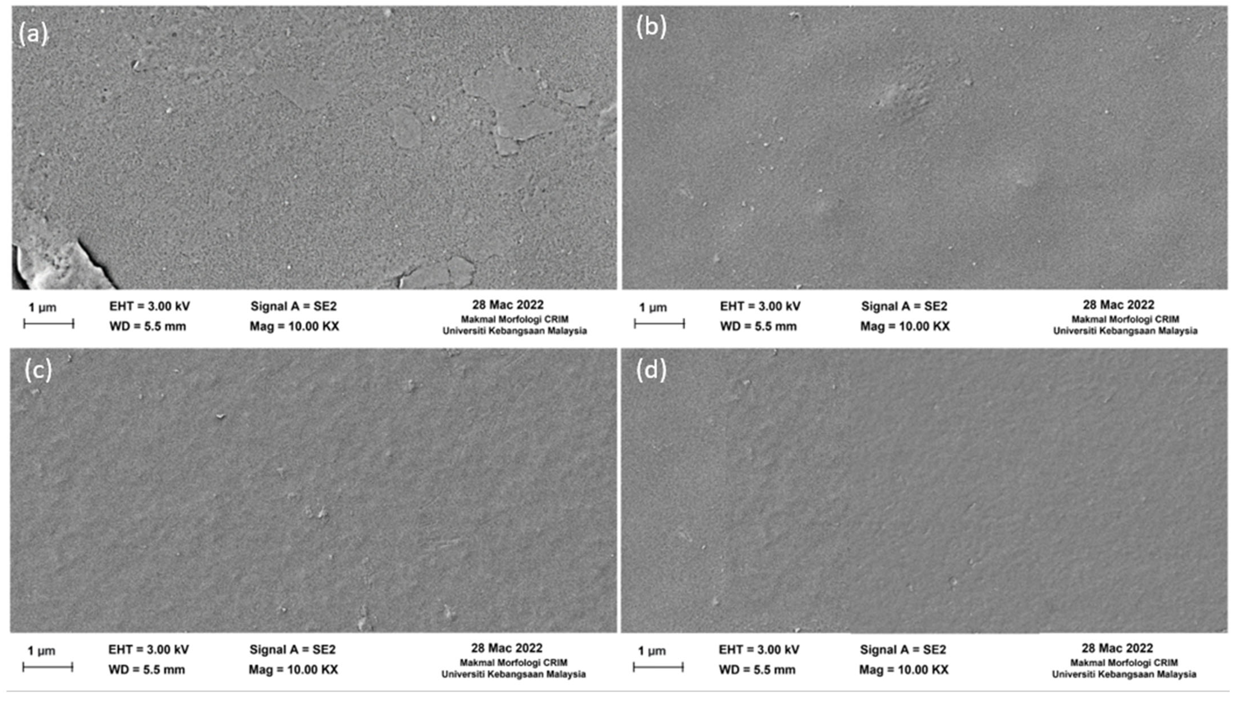 Membranes 13 00602 g005