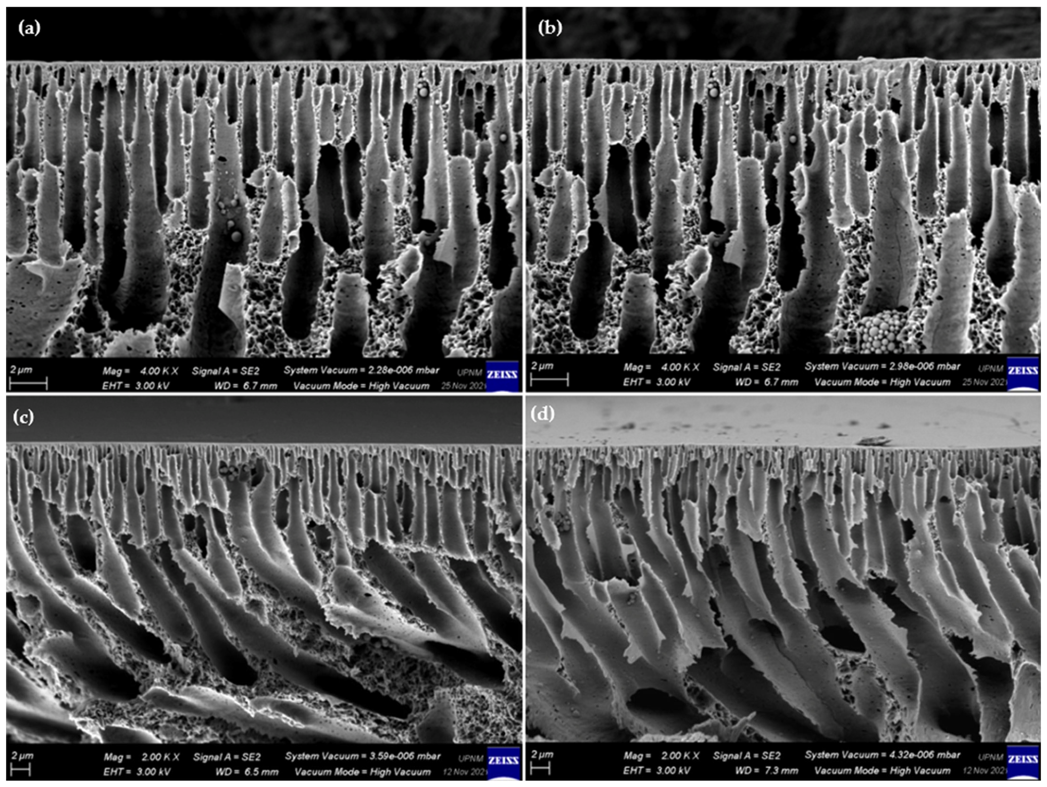 Membranes 13 00602 g006