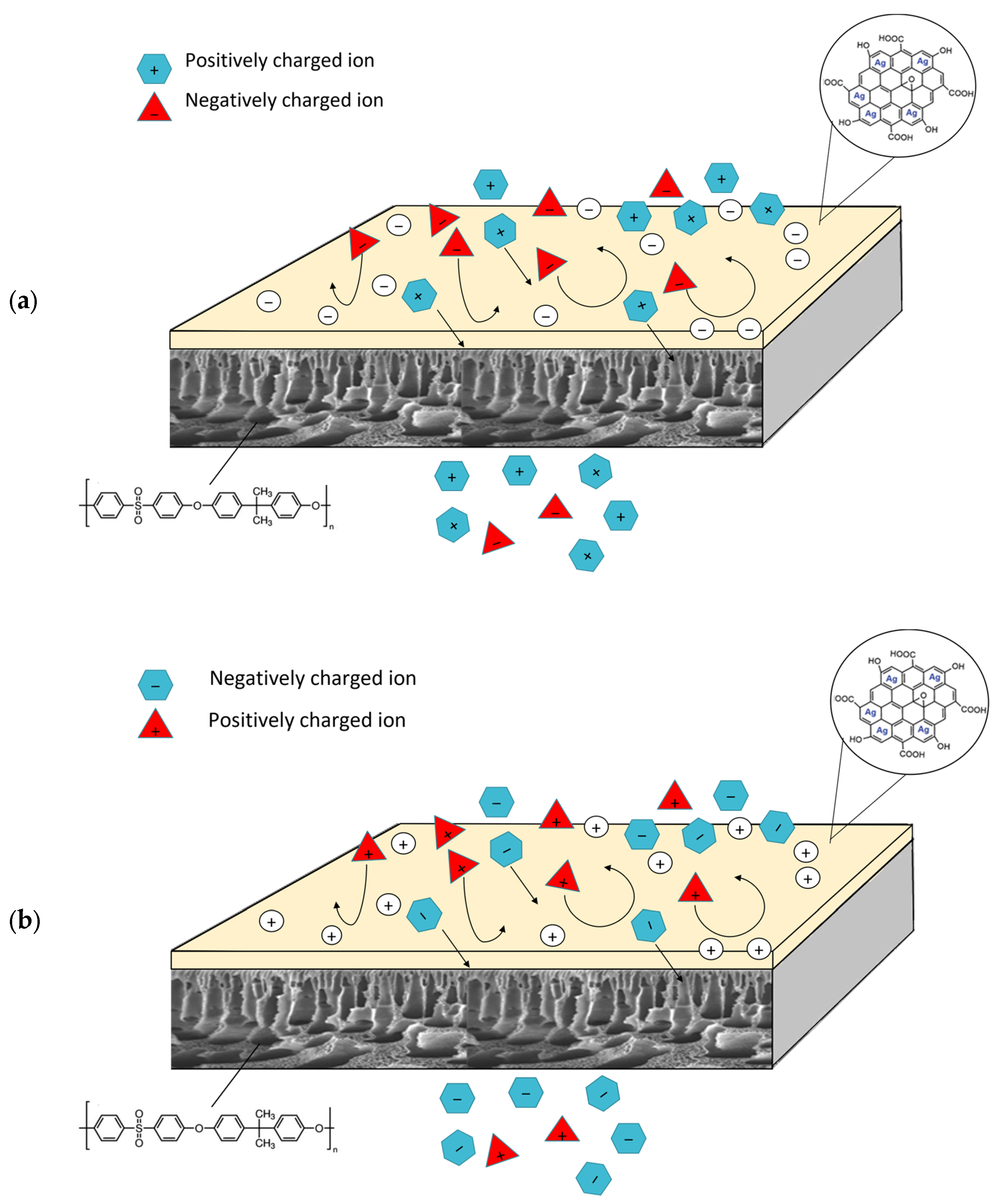 Membranes 13 00602 g010