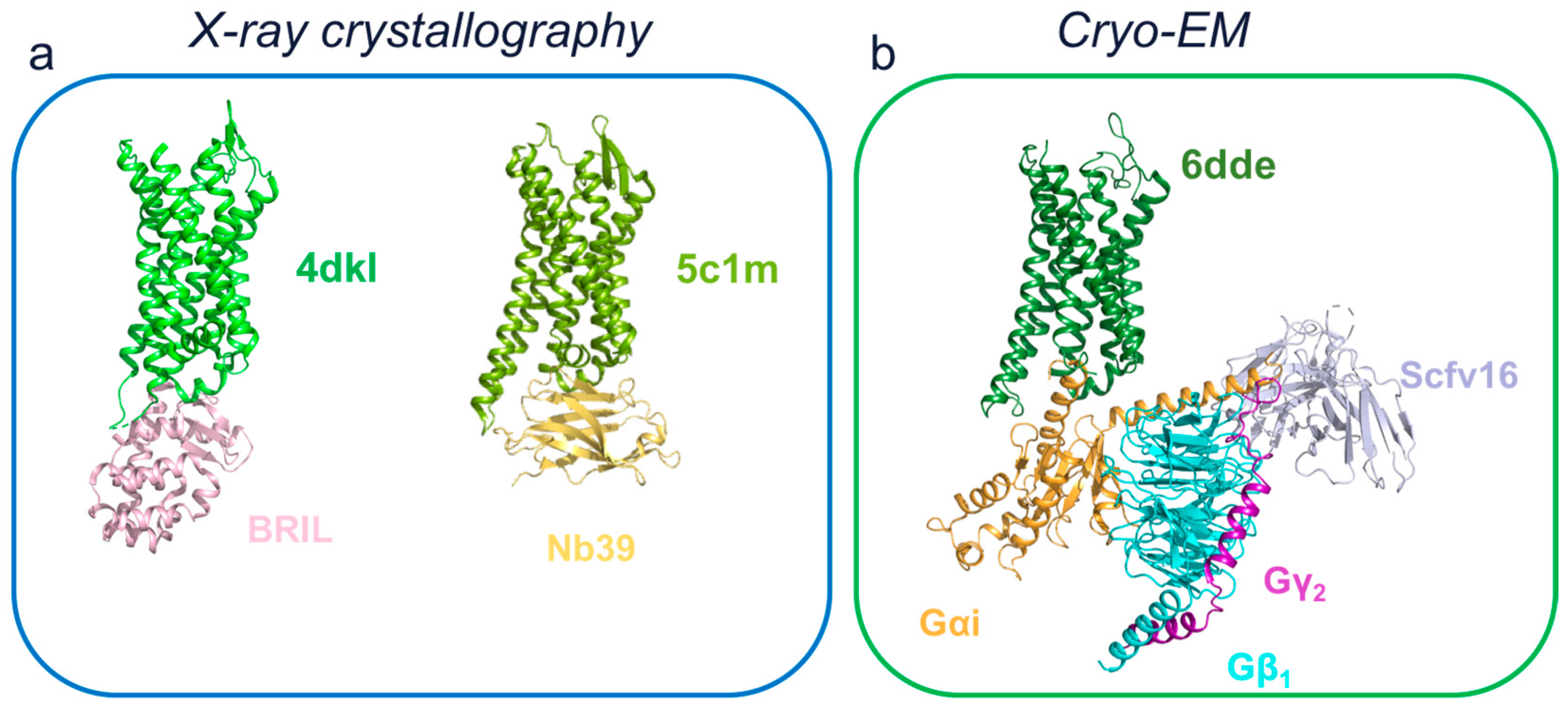 Membranes 13 00606 g005
