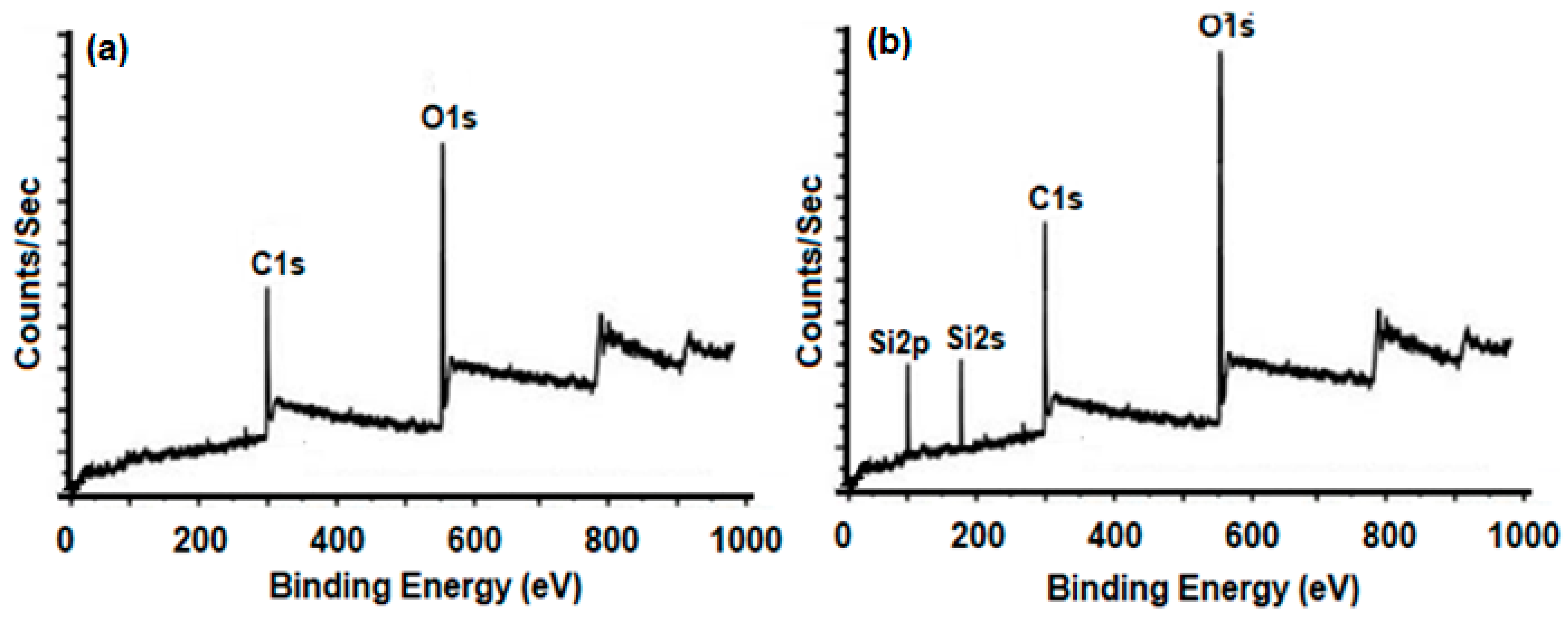 Membranes 13 00609 g001 550