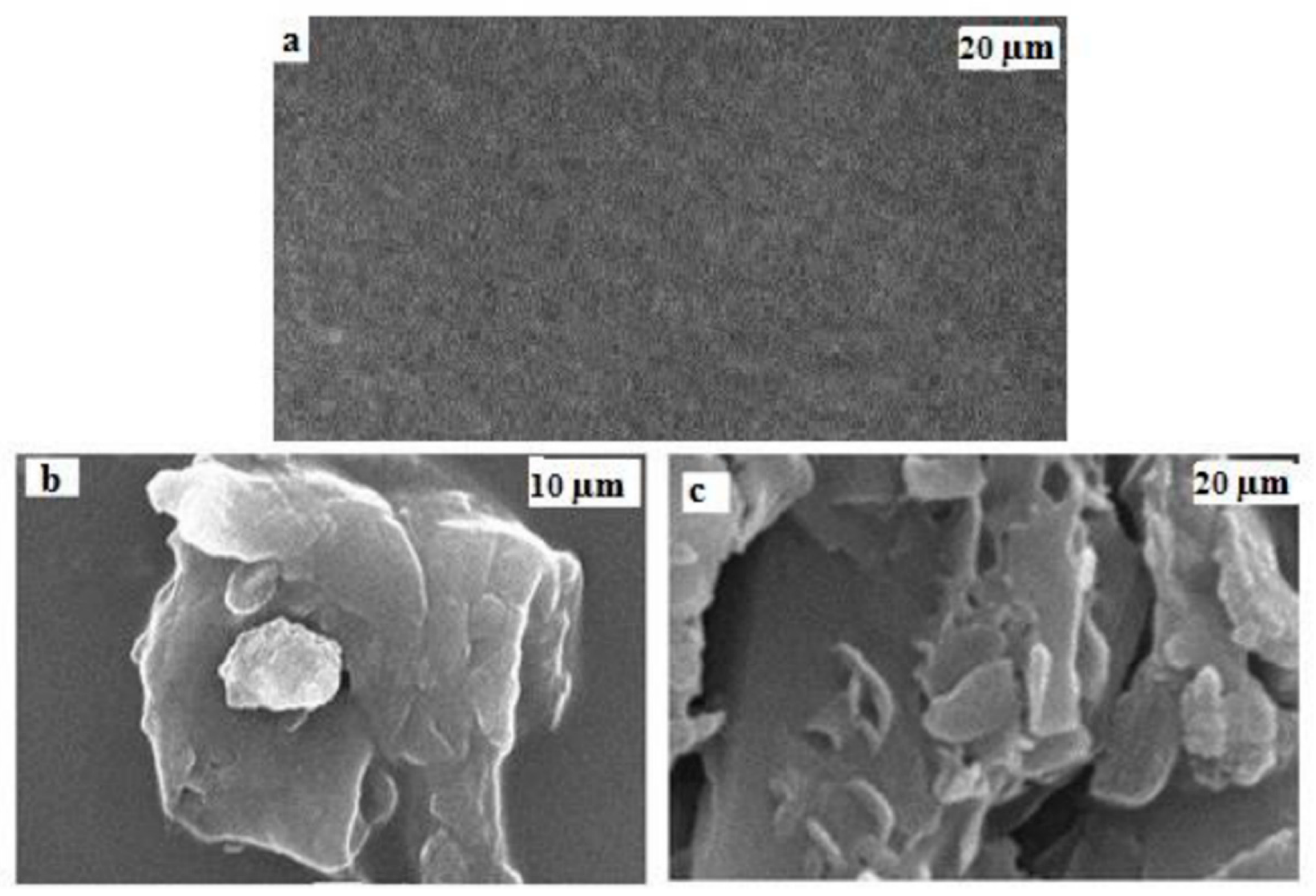 Membranes 13 00609 g008 550