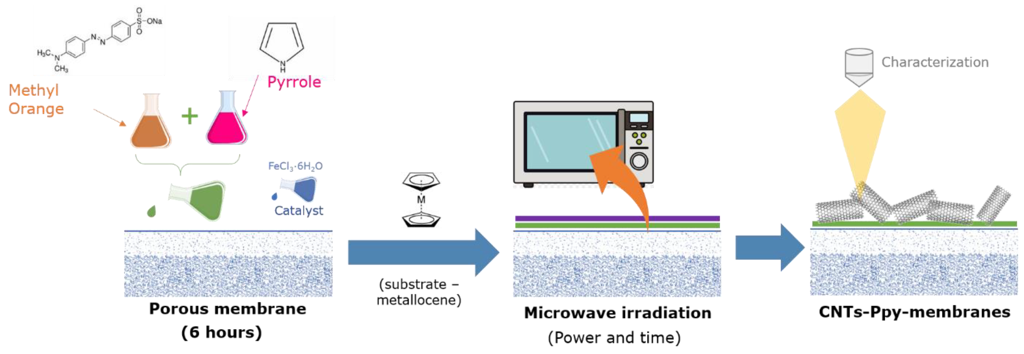 Membranes 13 00616 g001