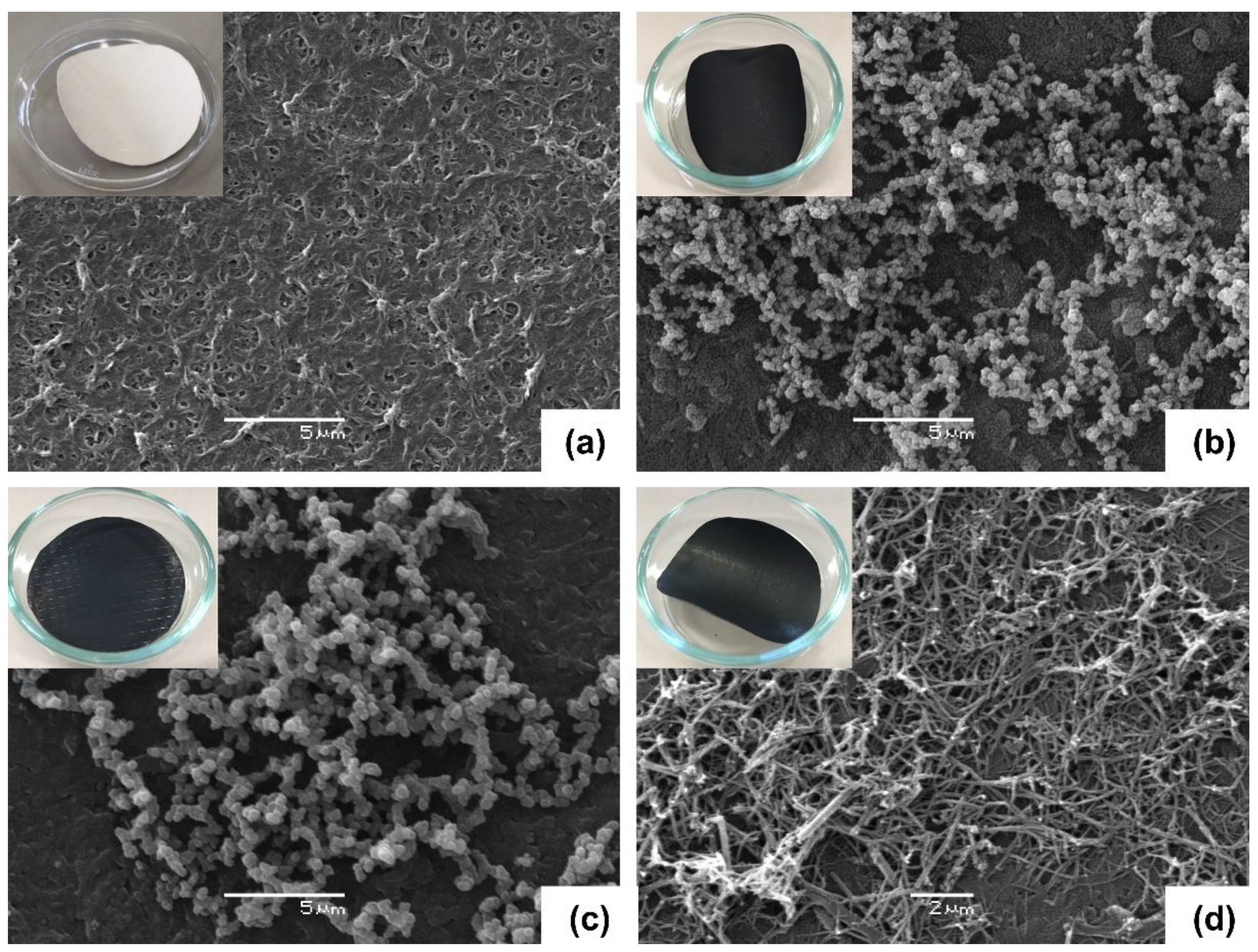 Membranes 13 00616 g002