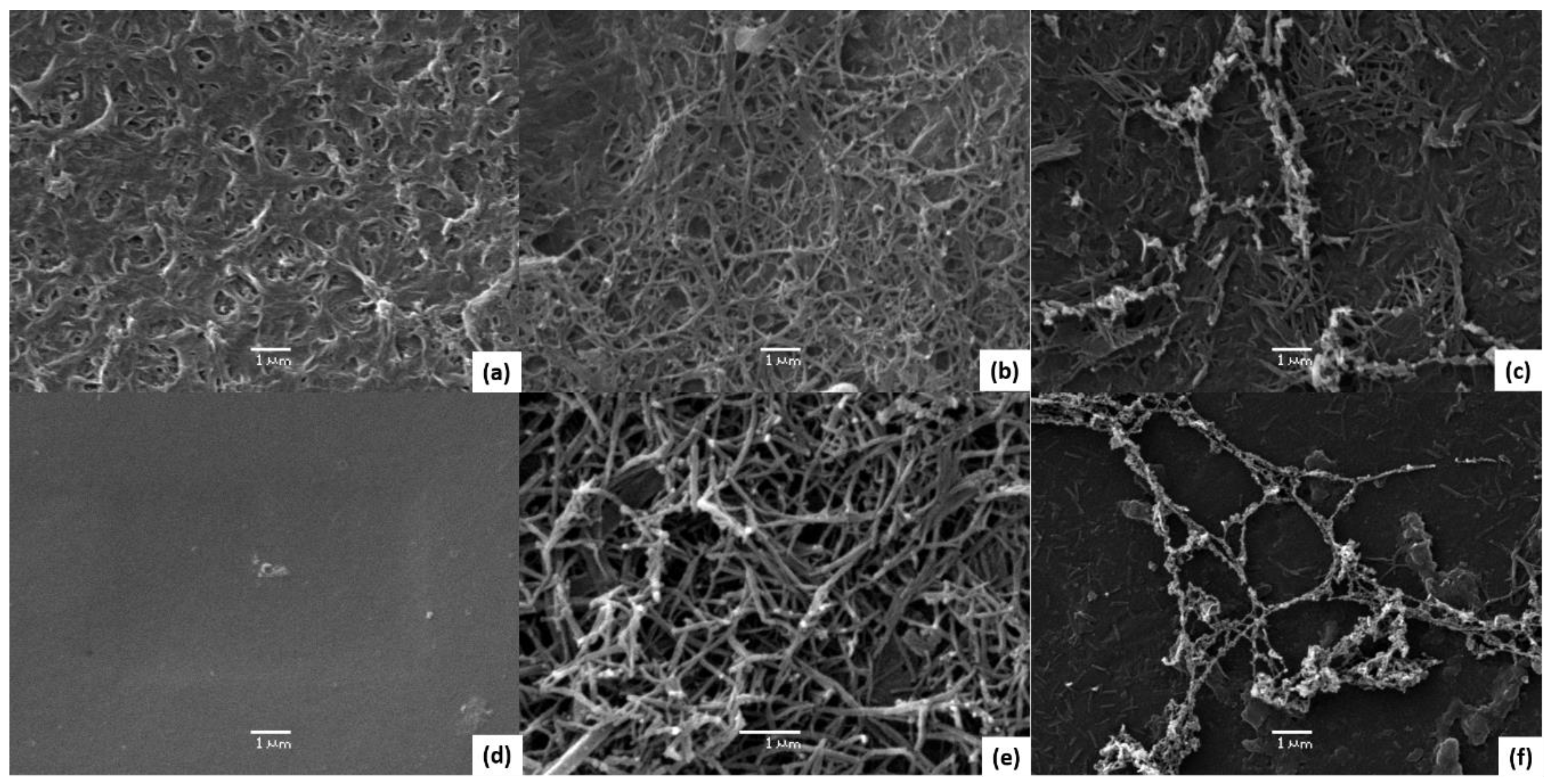 Membranes 13 00616 g003
