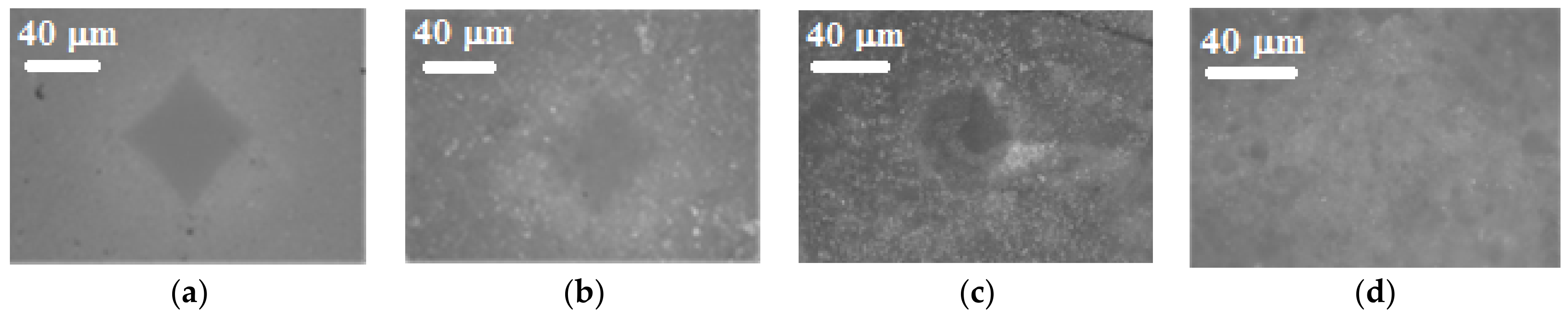 Membranes 13 00617 g004