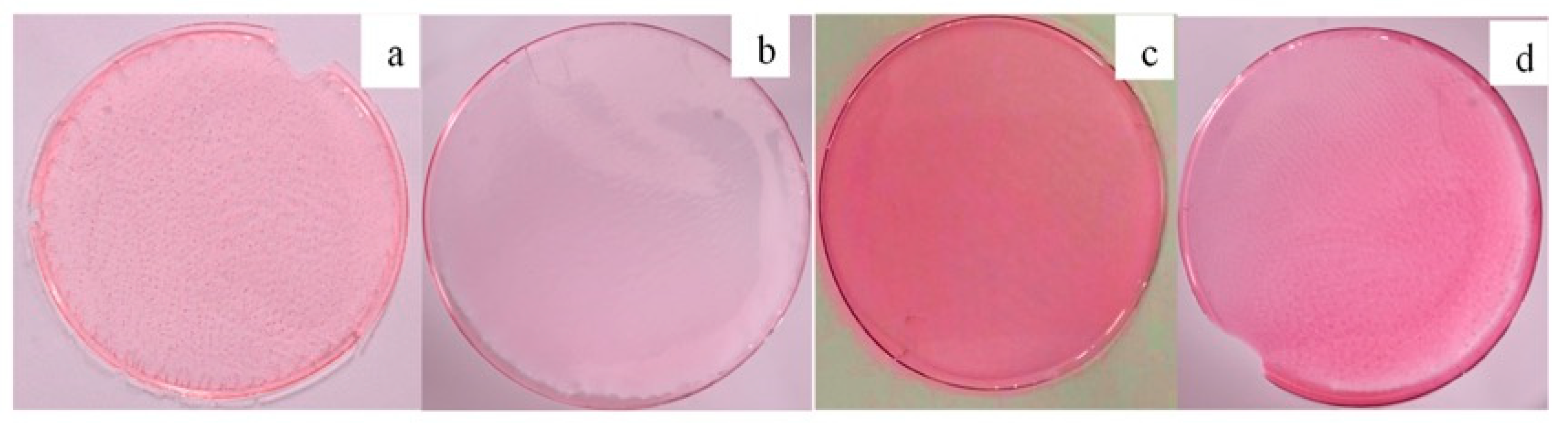 Membranes 13 00619 g010 Membranes 13 00619 g010
