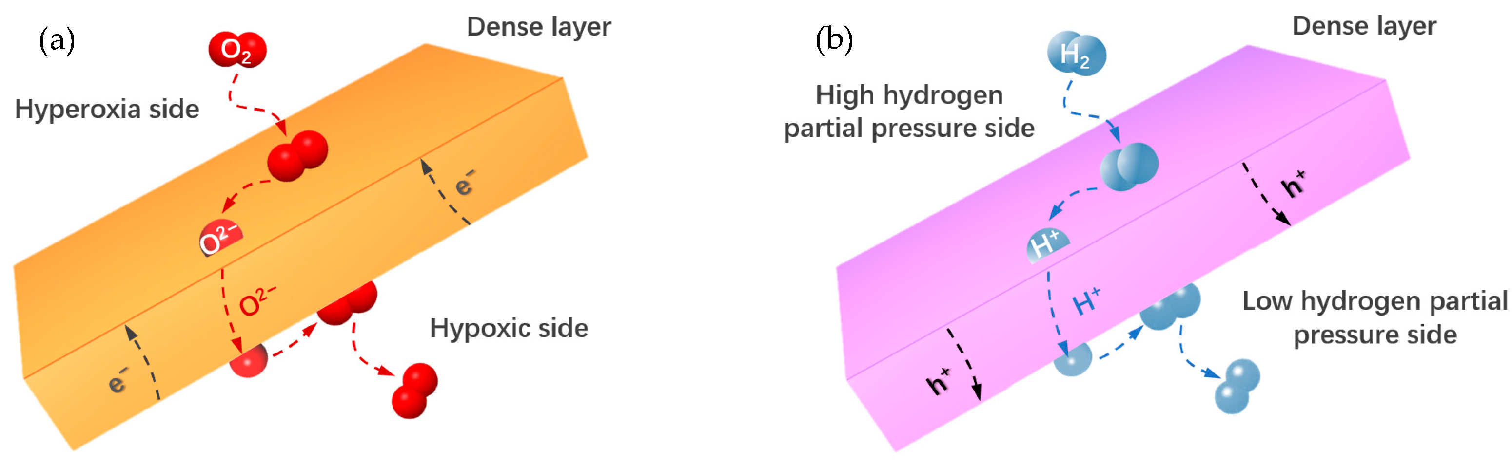 Membranes 13 00621 g003 Membranes 13 00621 g003