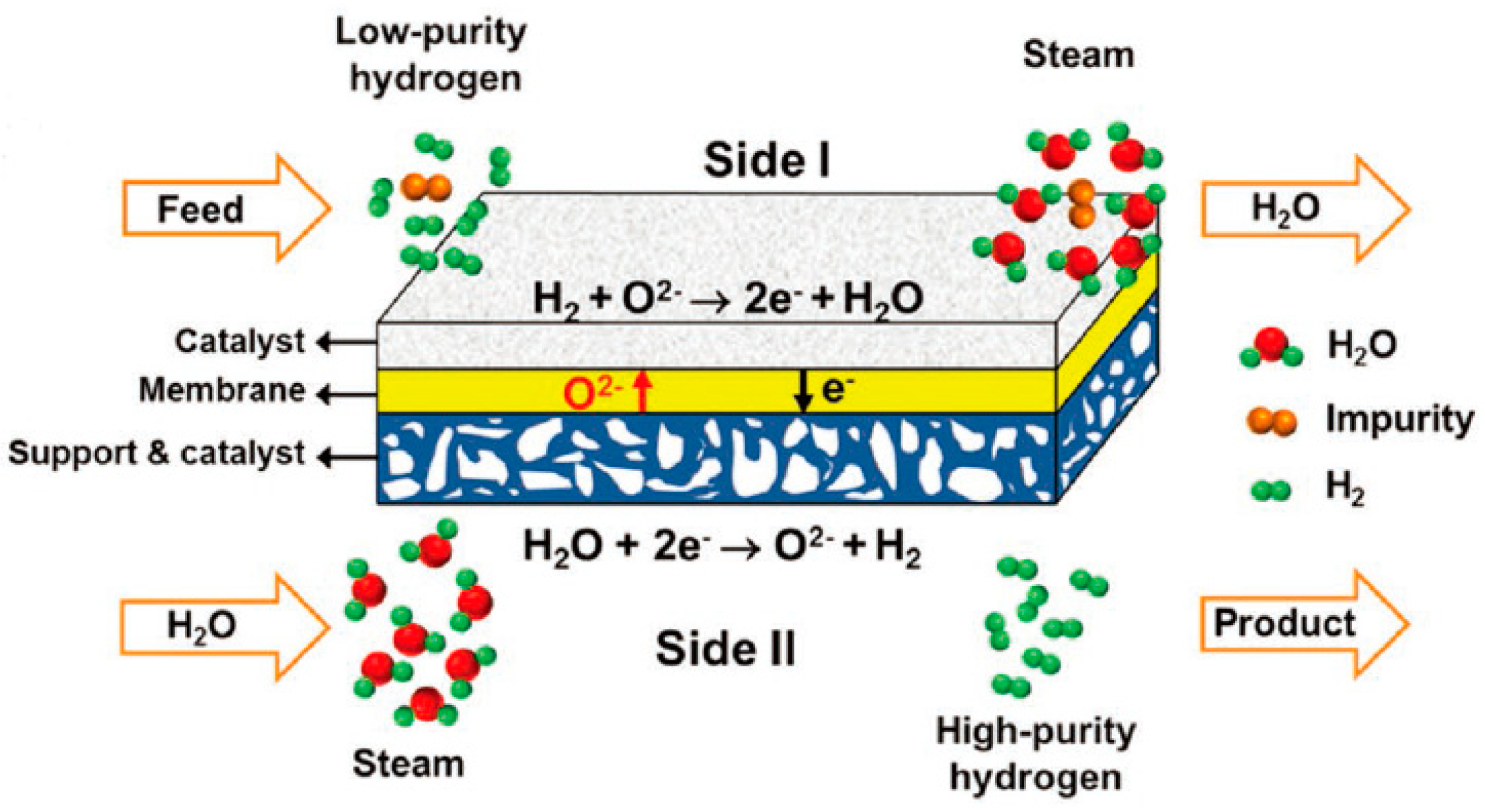 Membranes 13 00621 g011 Membranes 13 00621 g011