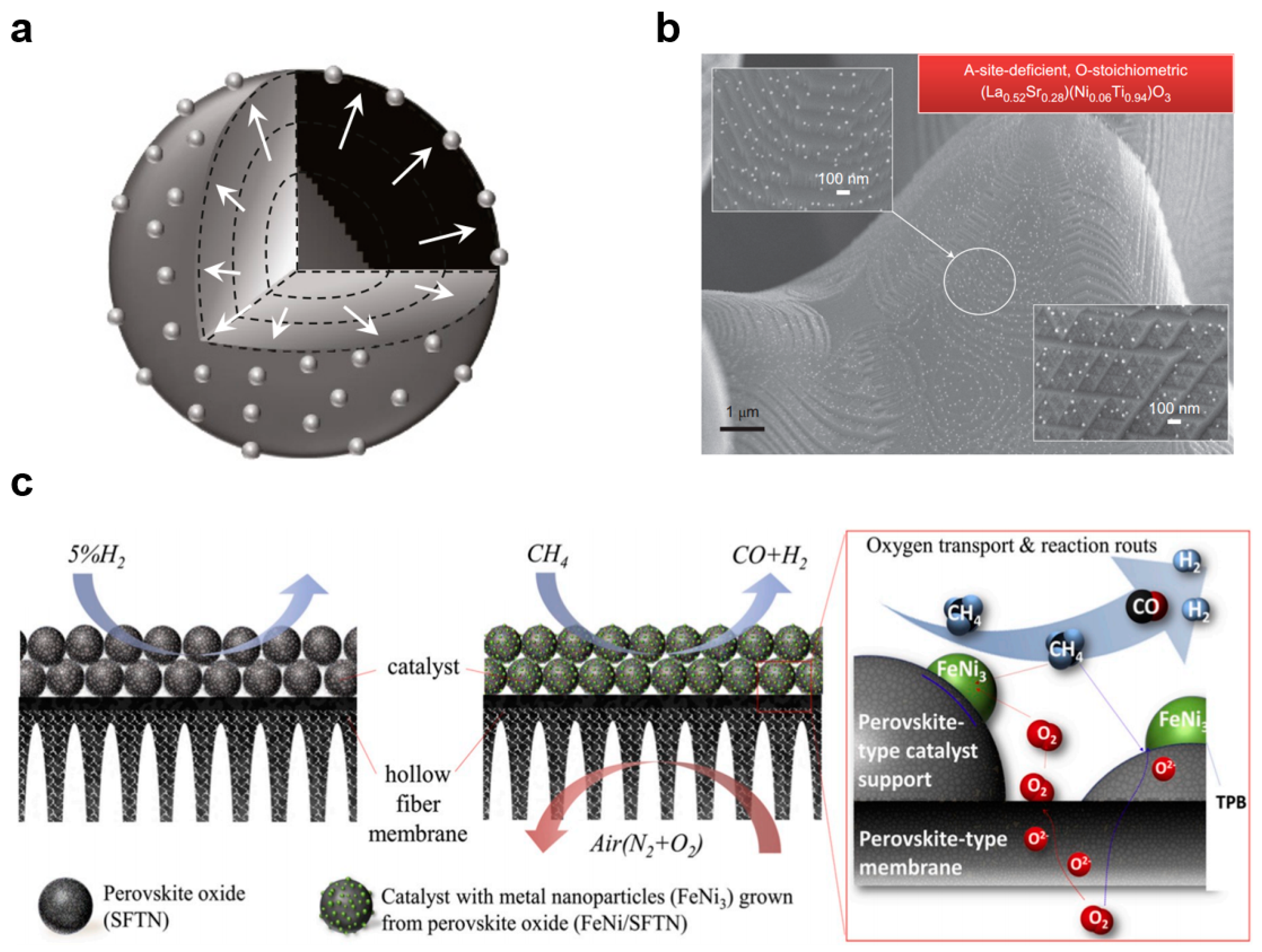 Membranes 13 00621 g013 Membranes 13 00621 g013