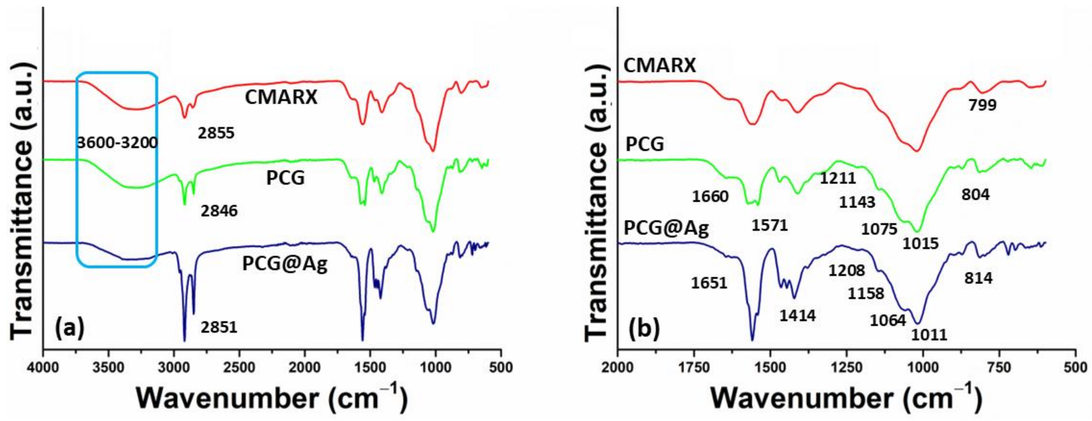 Membranes 13 00622 g001