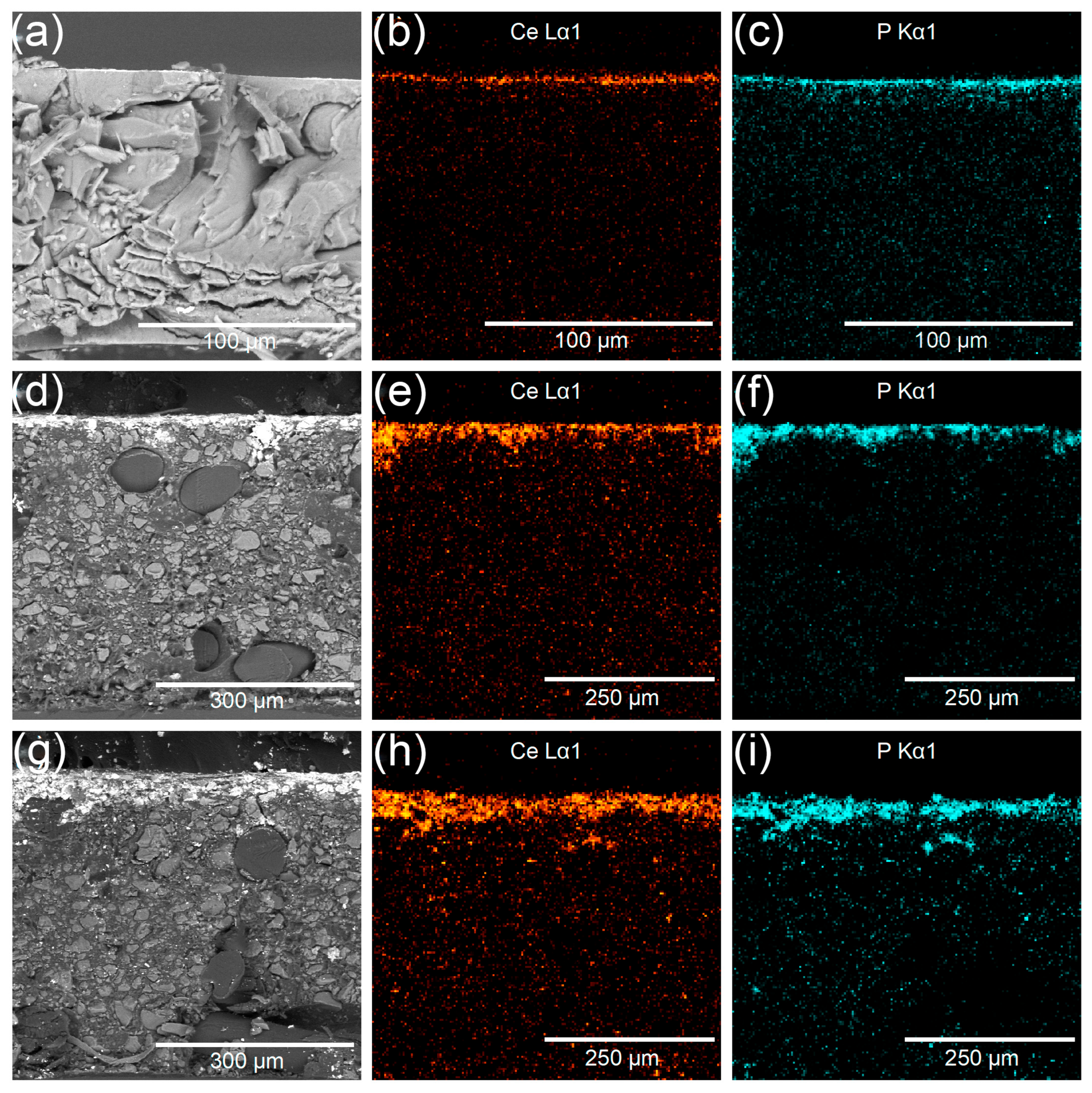 Membranes 13 00624 g006 Membranes 13 00624 g006