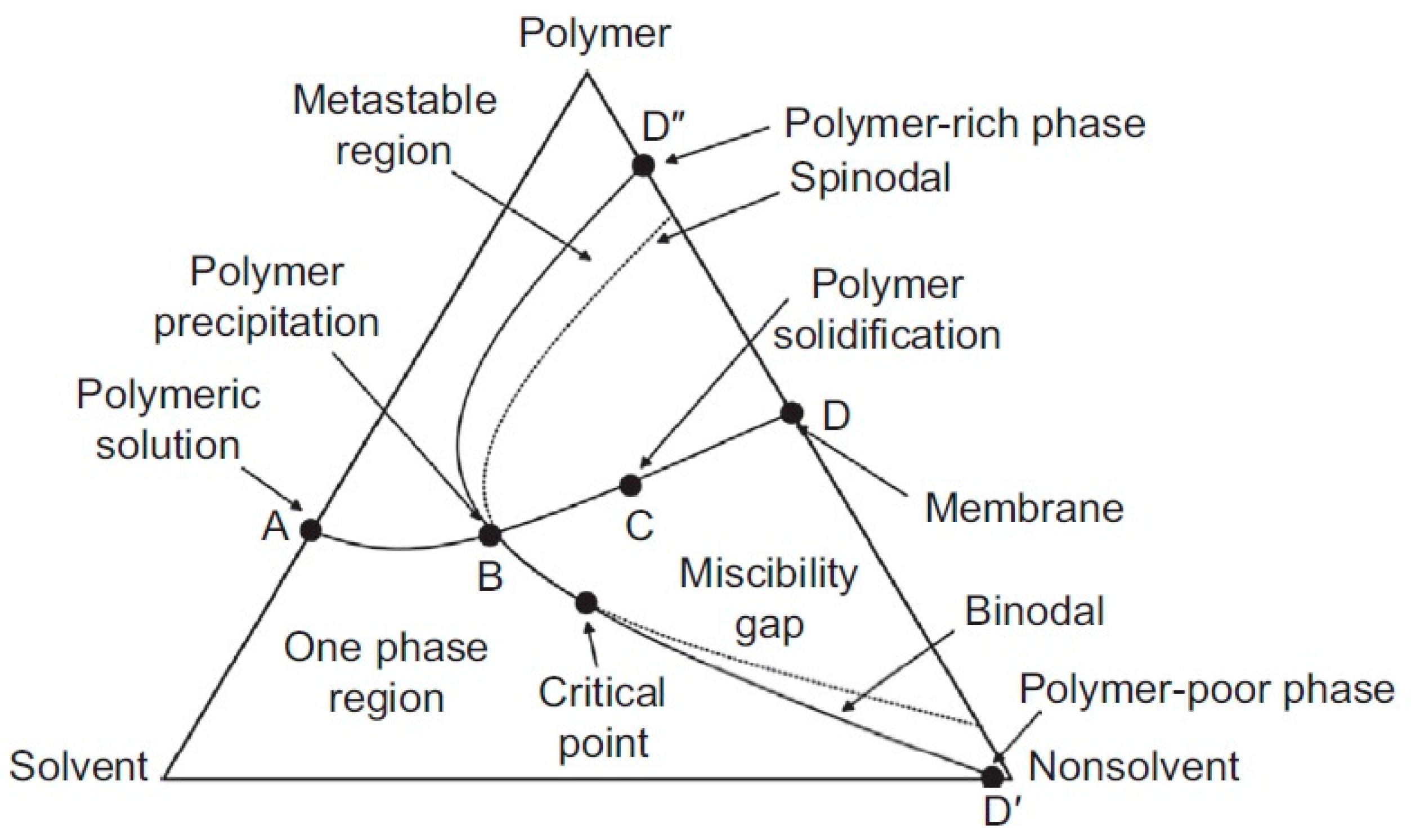 Membranes 13 00625 g003