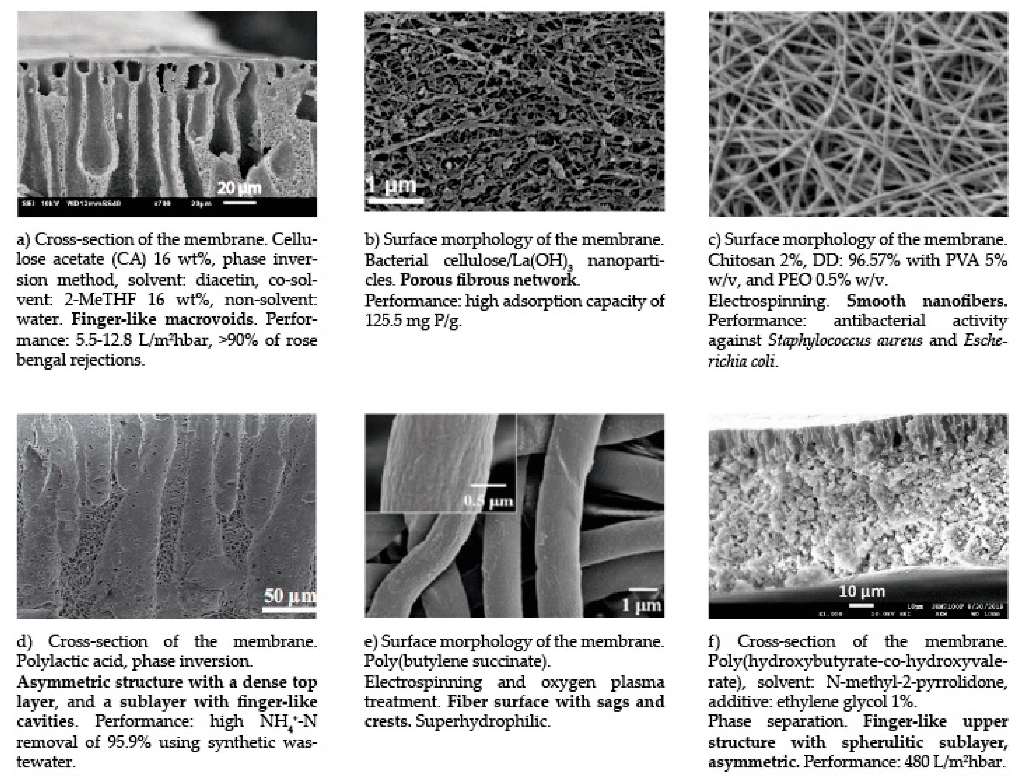 Membranes 13 00625 g005